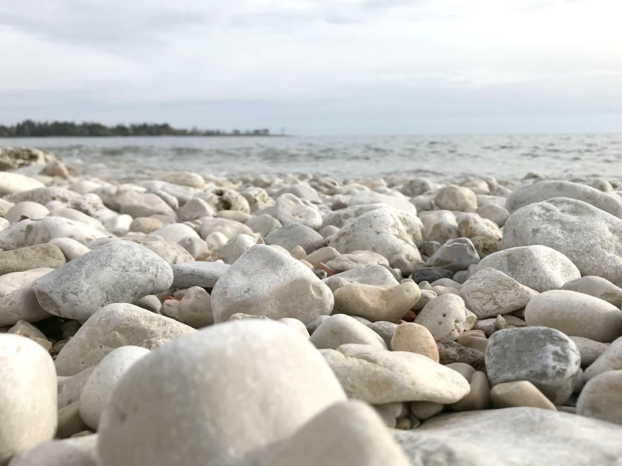 Große Wohnung in Babići mit Garten und Terrasse-Image-tags.info