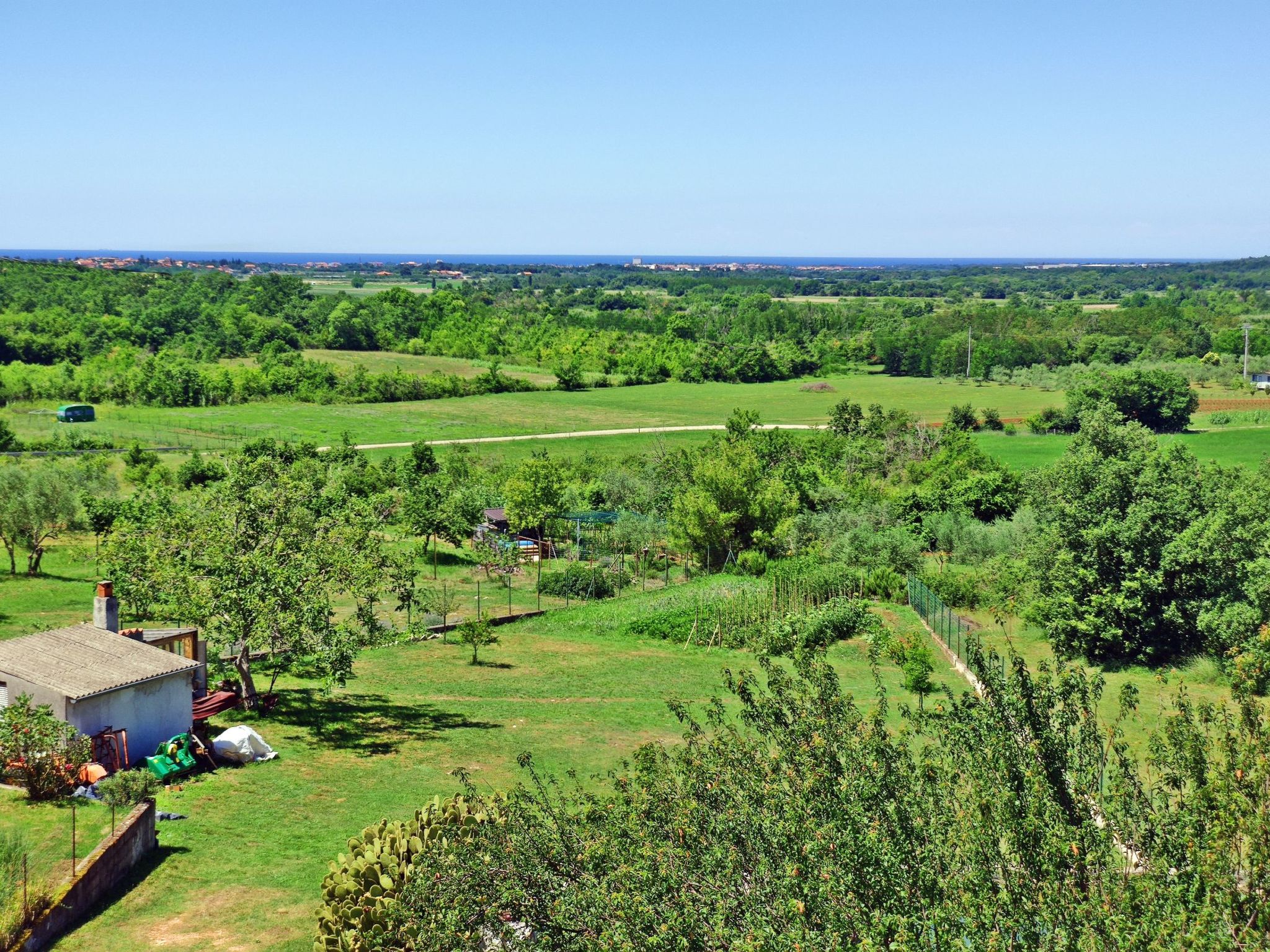 MARINA PICUDO-Image-tags.info