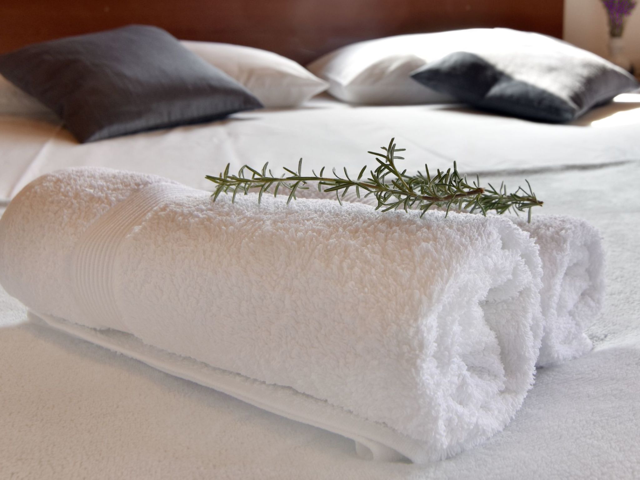 MARINA PICUDO-Image-tags.info