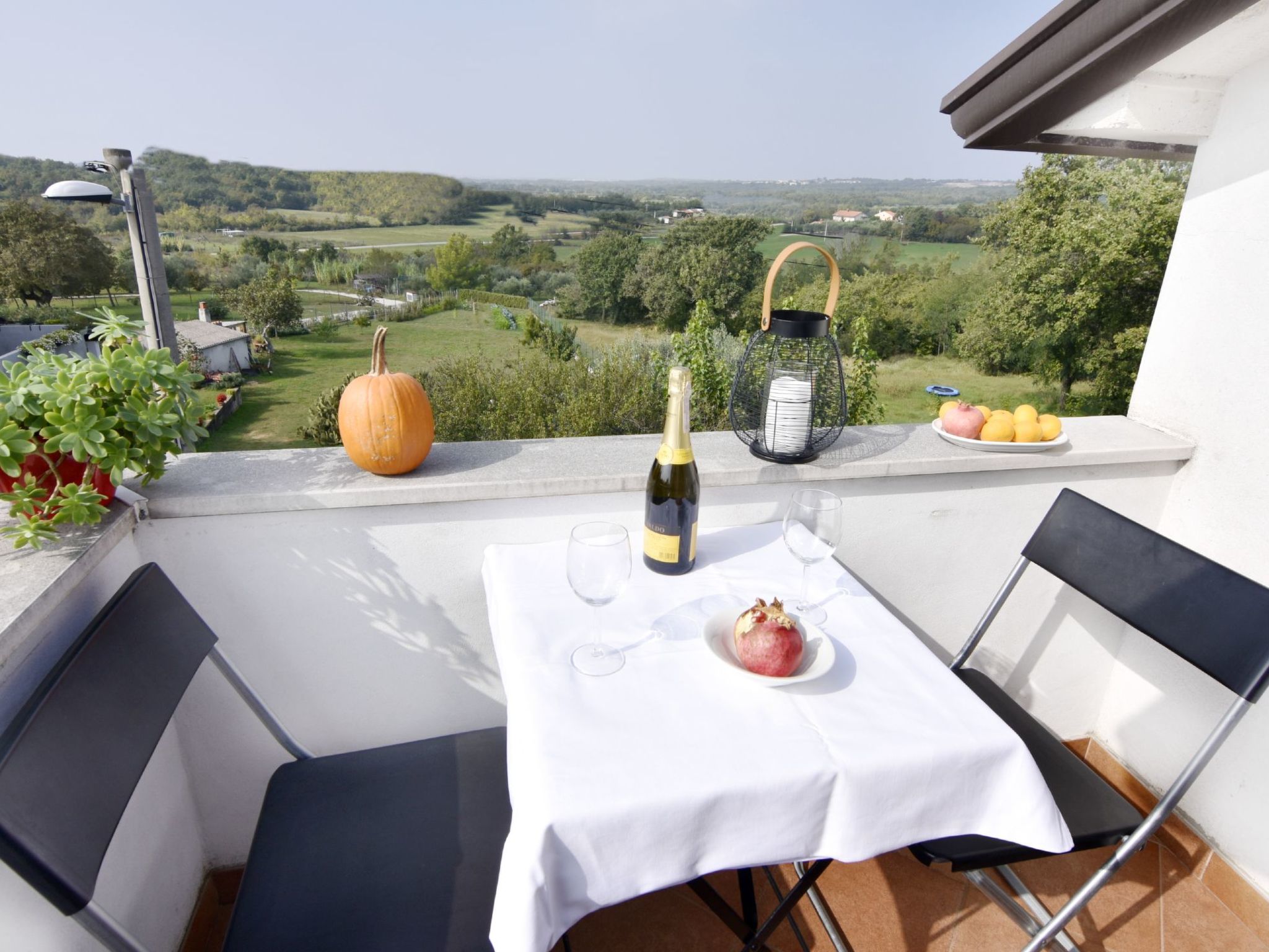 MARINA PICUDO-Image-tags.info