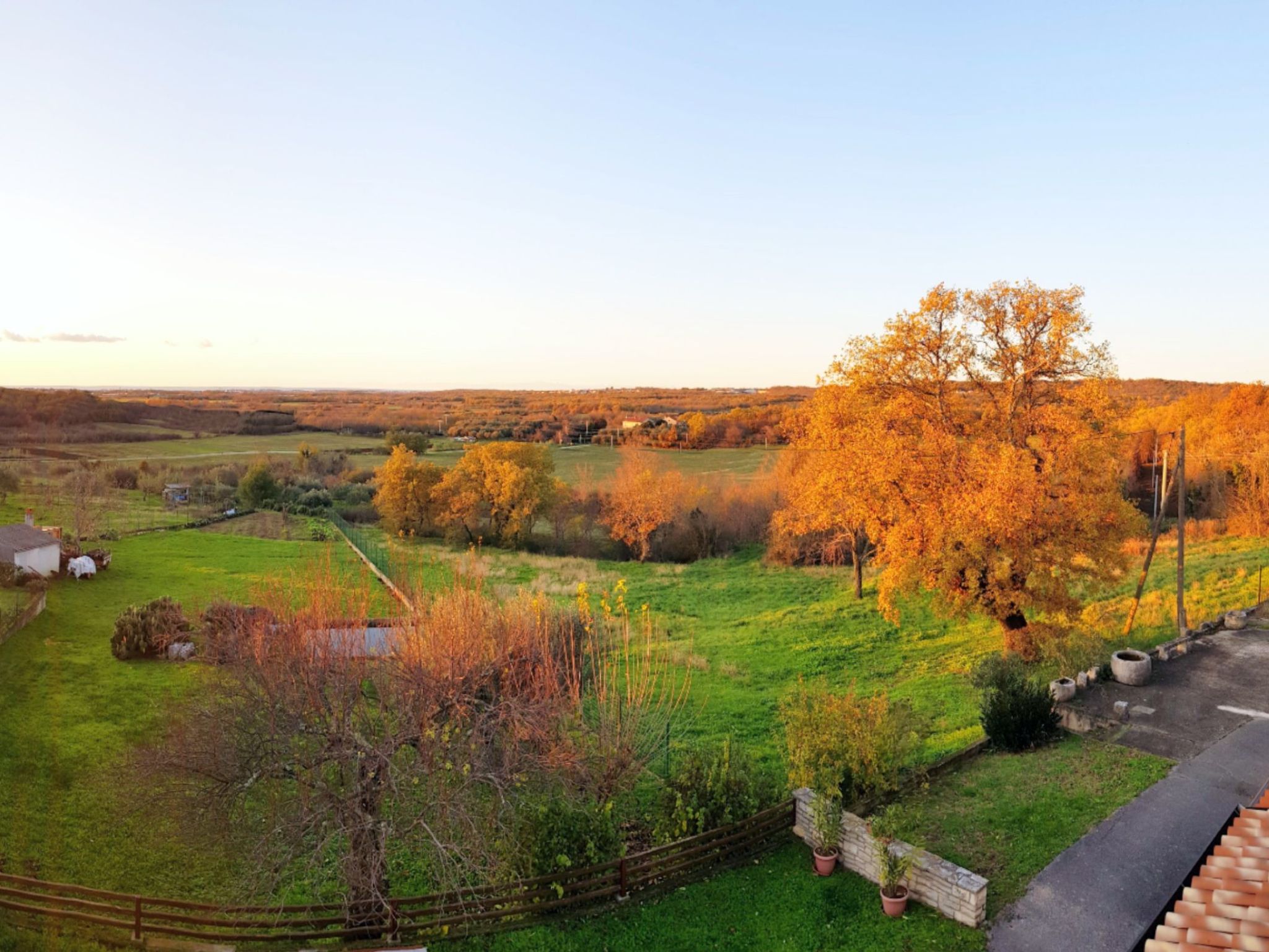 MARINA PICUDO-Image-tags.info