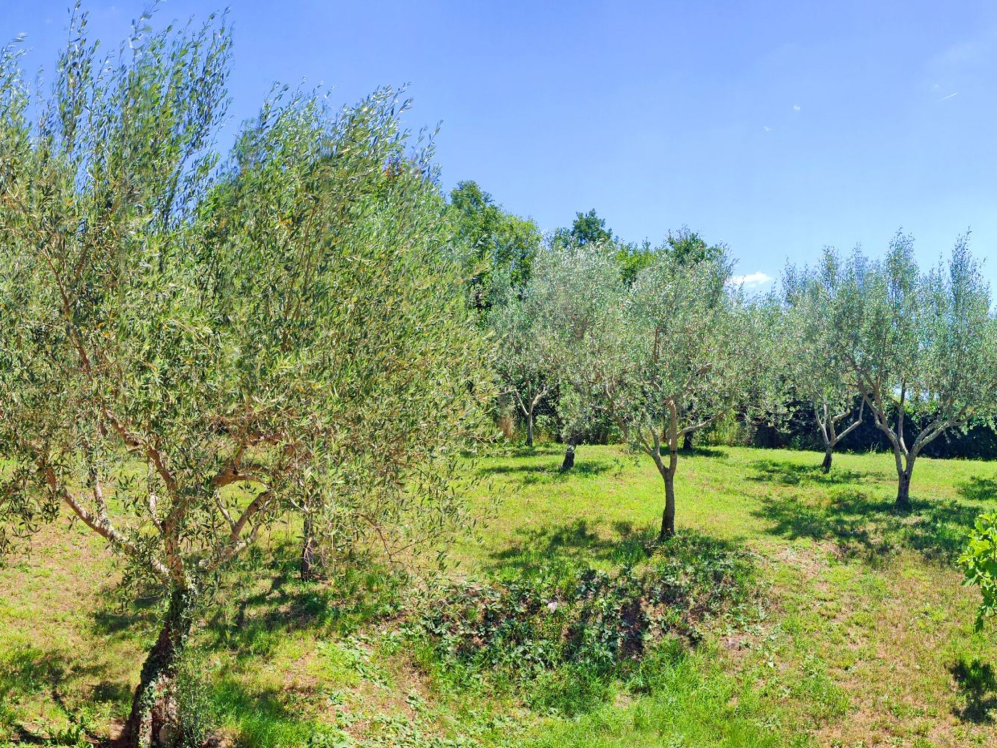 MARINA PICUDO-Image-tags.info