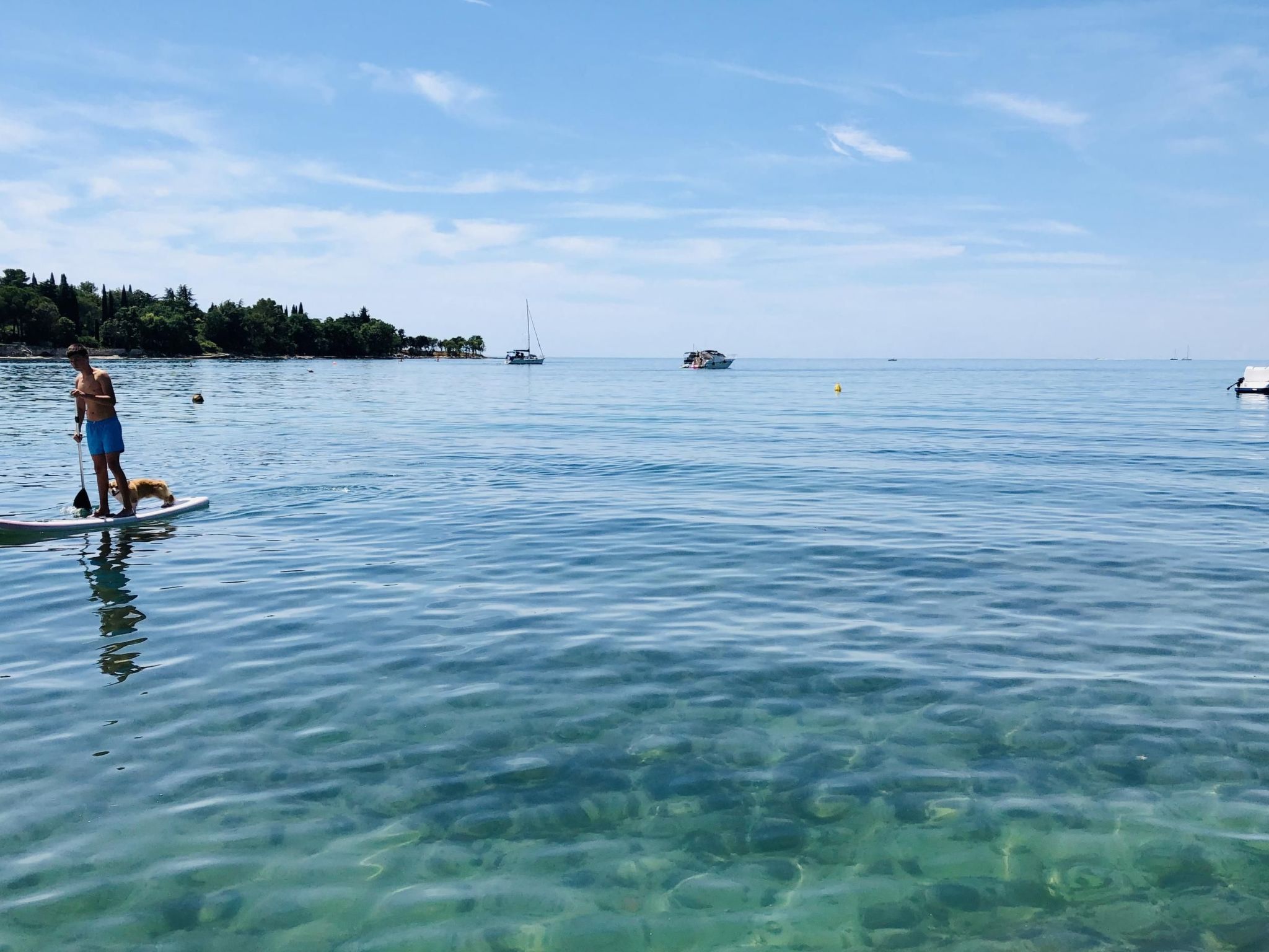 Moderne Ferienwohnung mit Terrasse nah am Strand-Image-tags.info