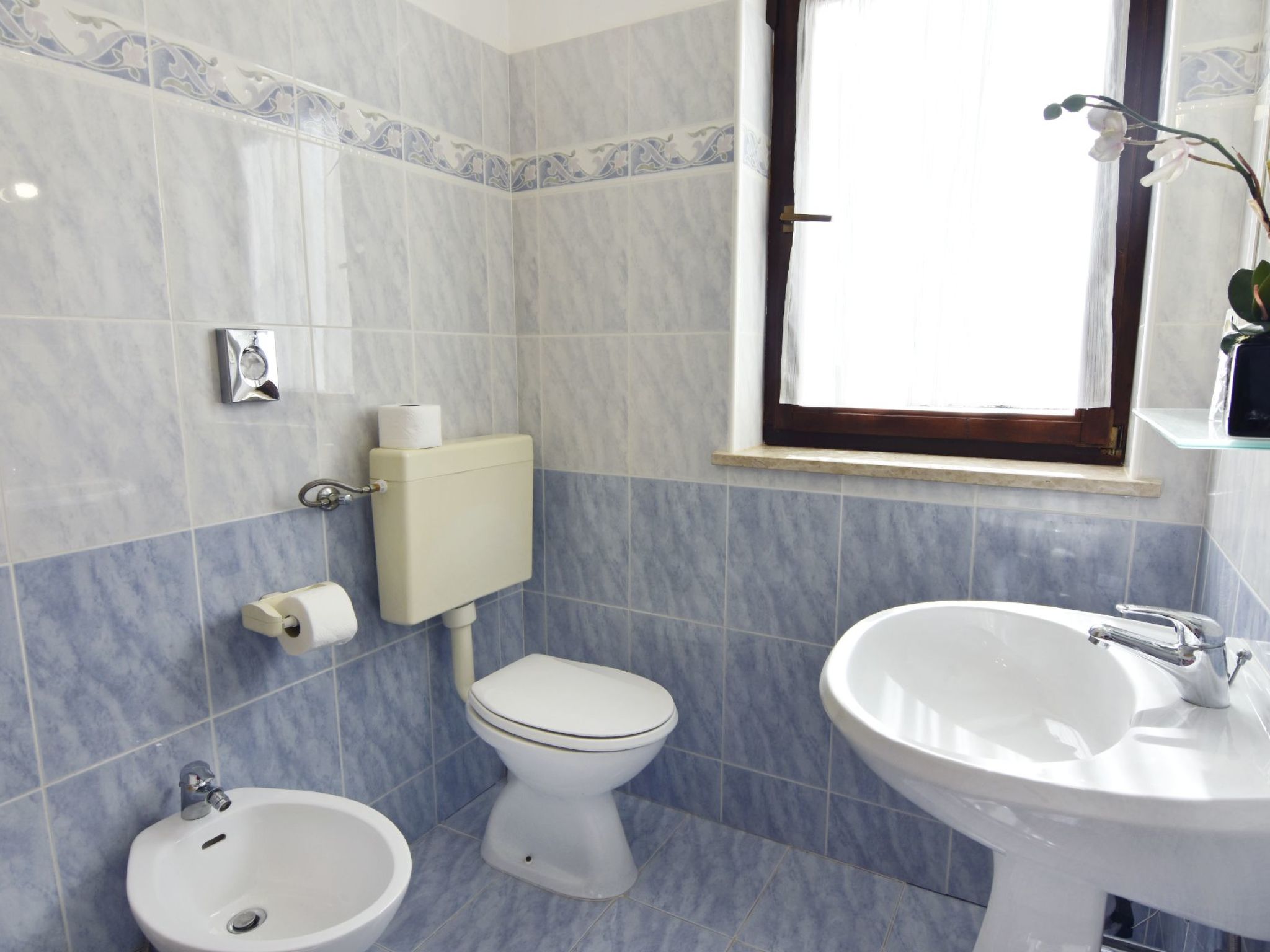 ALBINA STUDIO 5-Binnen