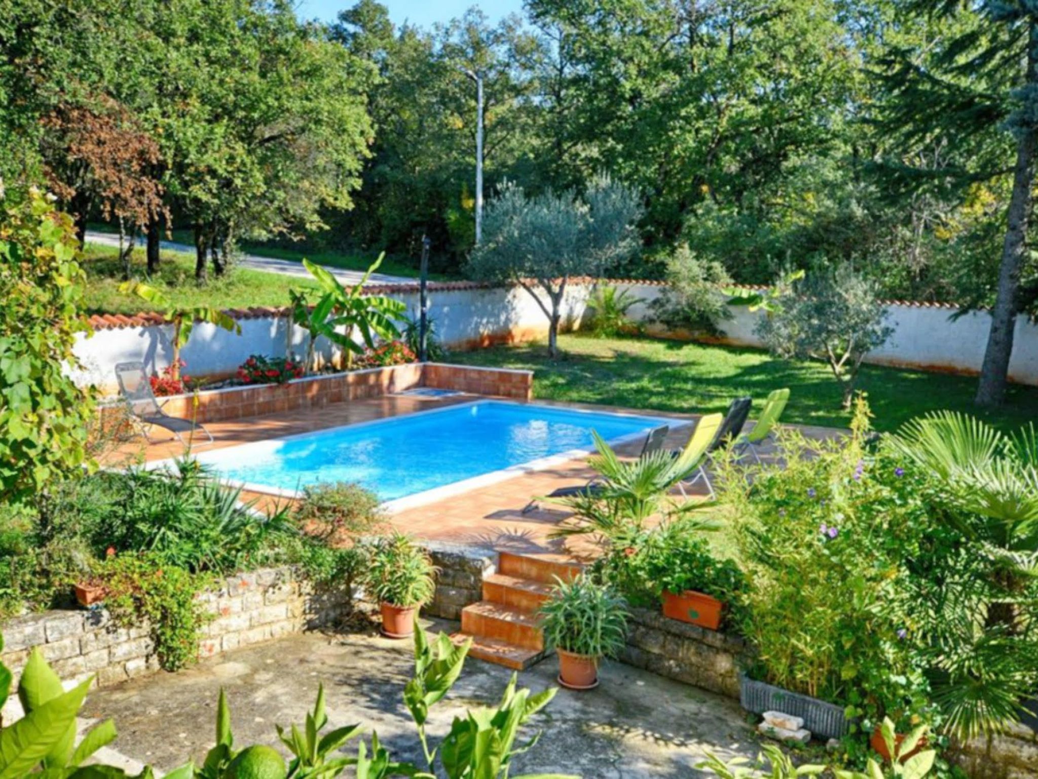 ALBINA STUDIO 5-Binnen