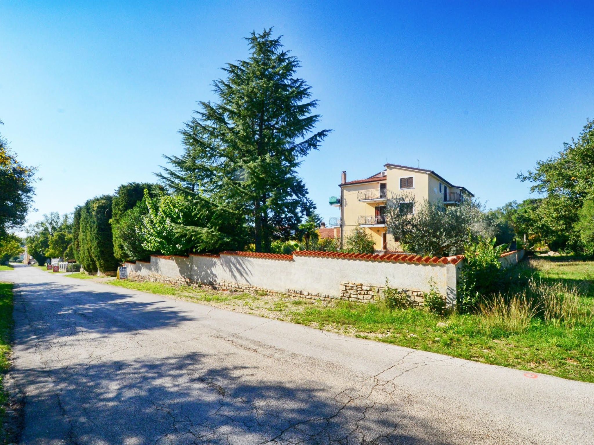 ALBINA STUDIO 5-Binnen