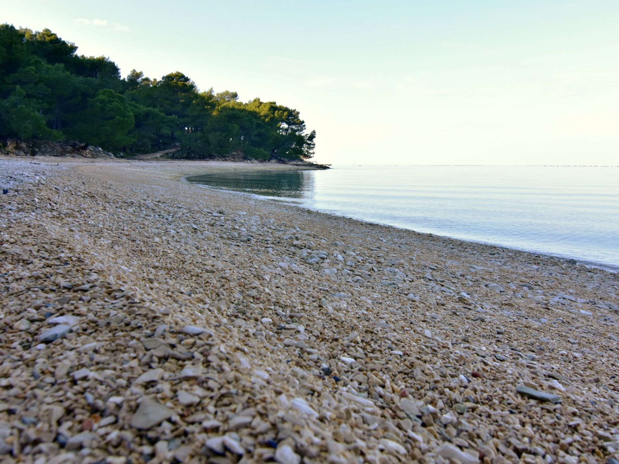 ALBINA STUDIO 5-Binnen