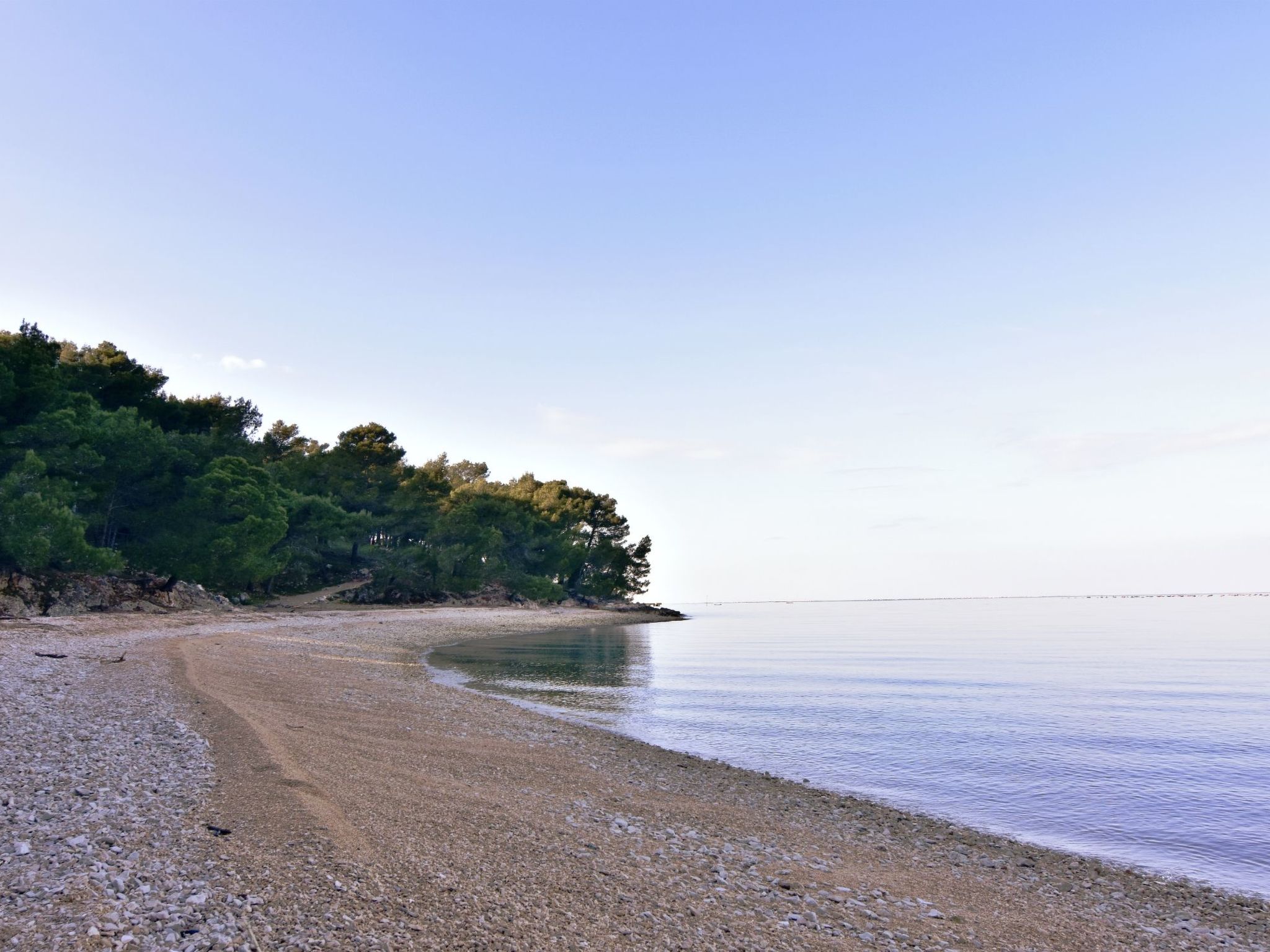 ALBINA STUDIO 5-Binnen