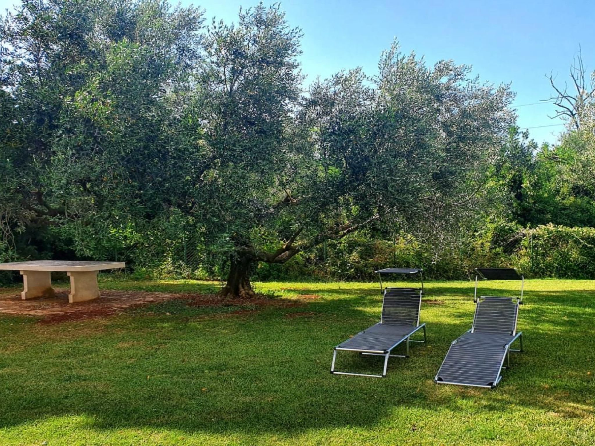 Renovierte Wohnung in Zambratija mit Großem Garten - Image-tags.info