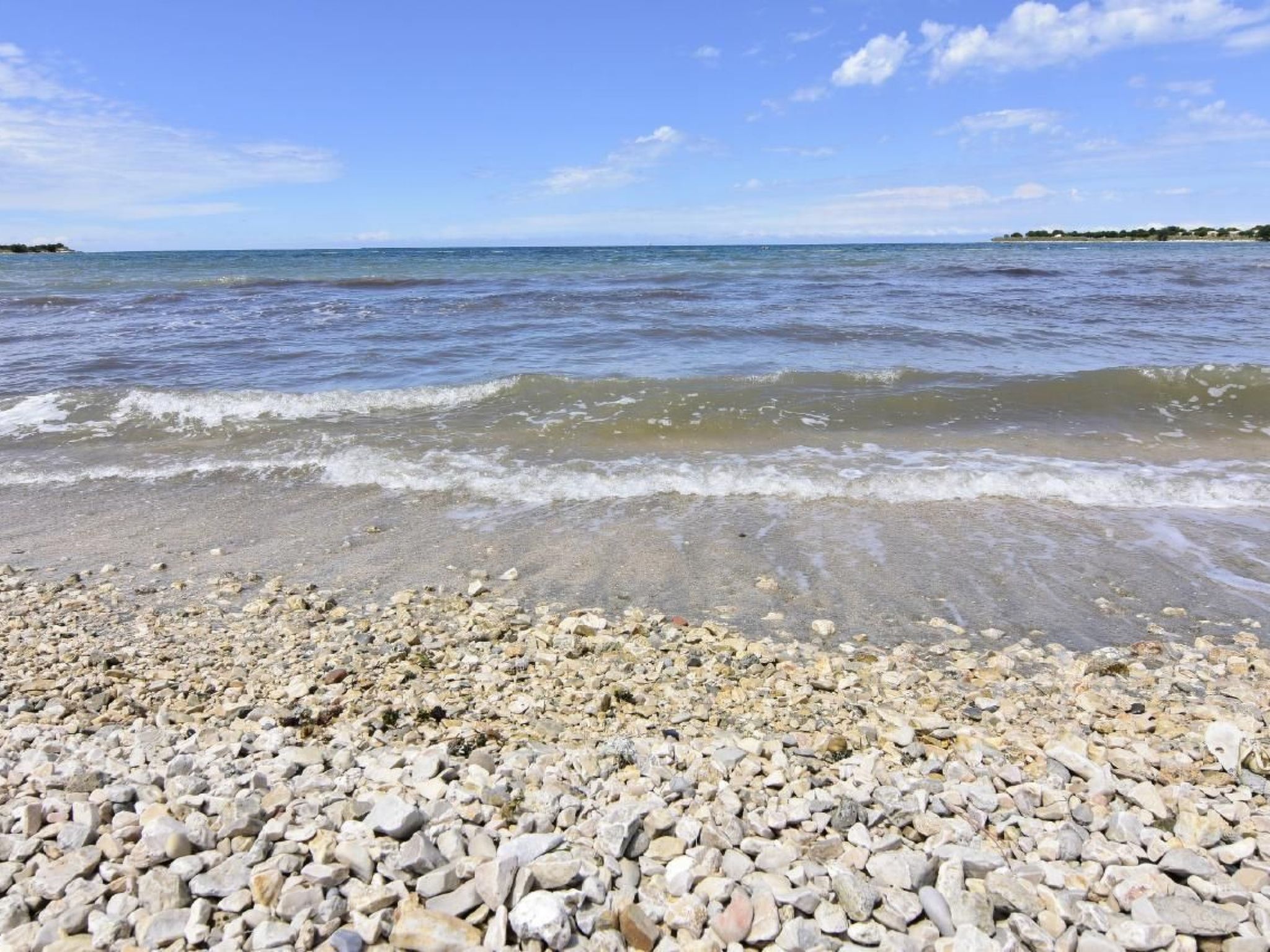 RAUL DAJLA-Image-tags.info