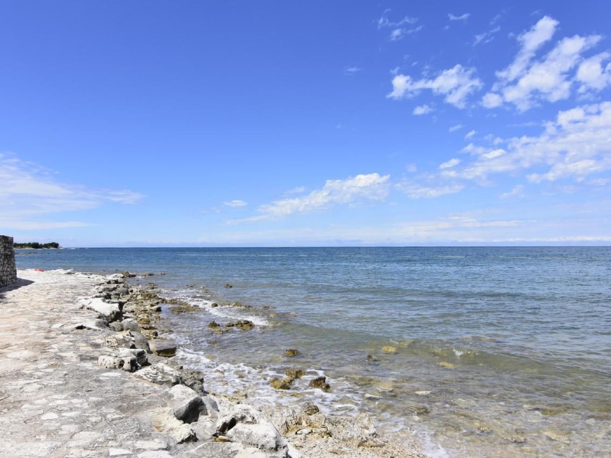 RAUL DAJLA-Image-tags.info