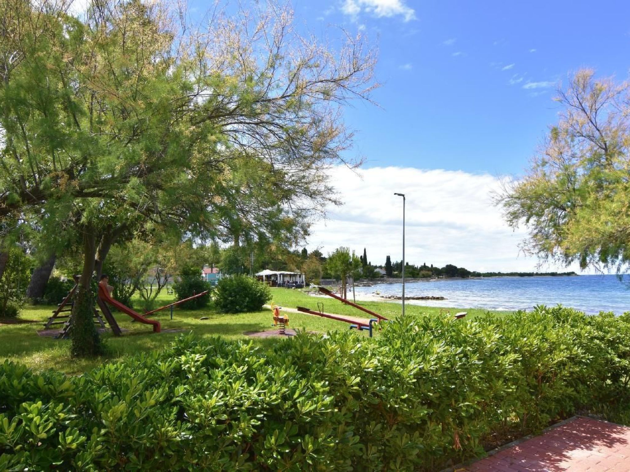 RAUL DAJLA-Image-tags.info