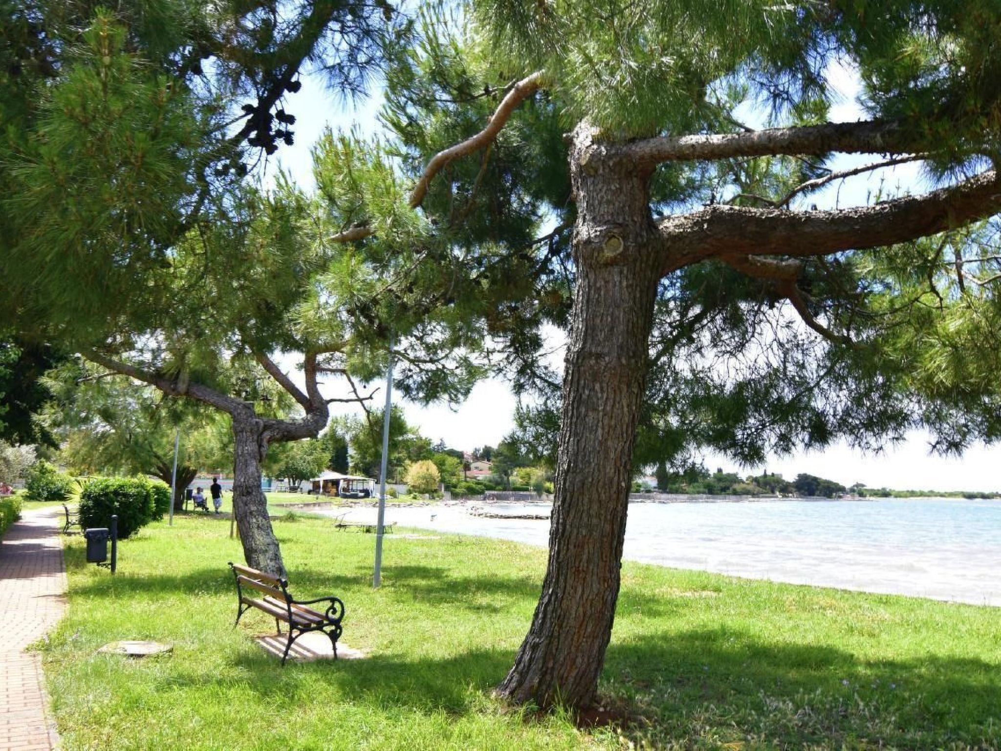 RAUL DAJLA-Image-tags.info