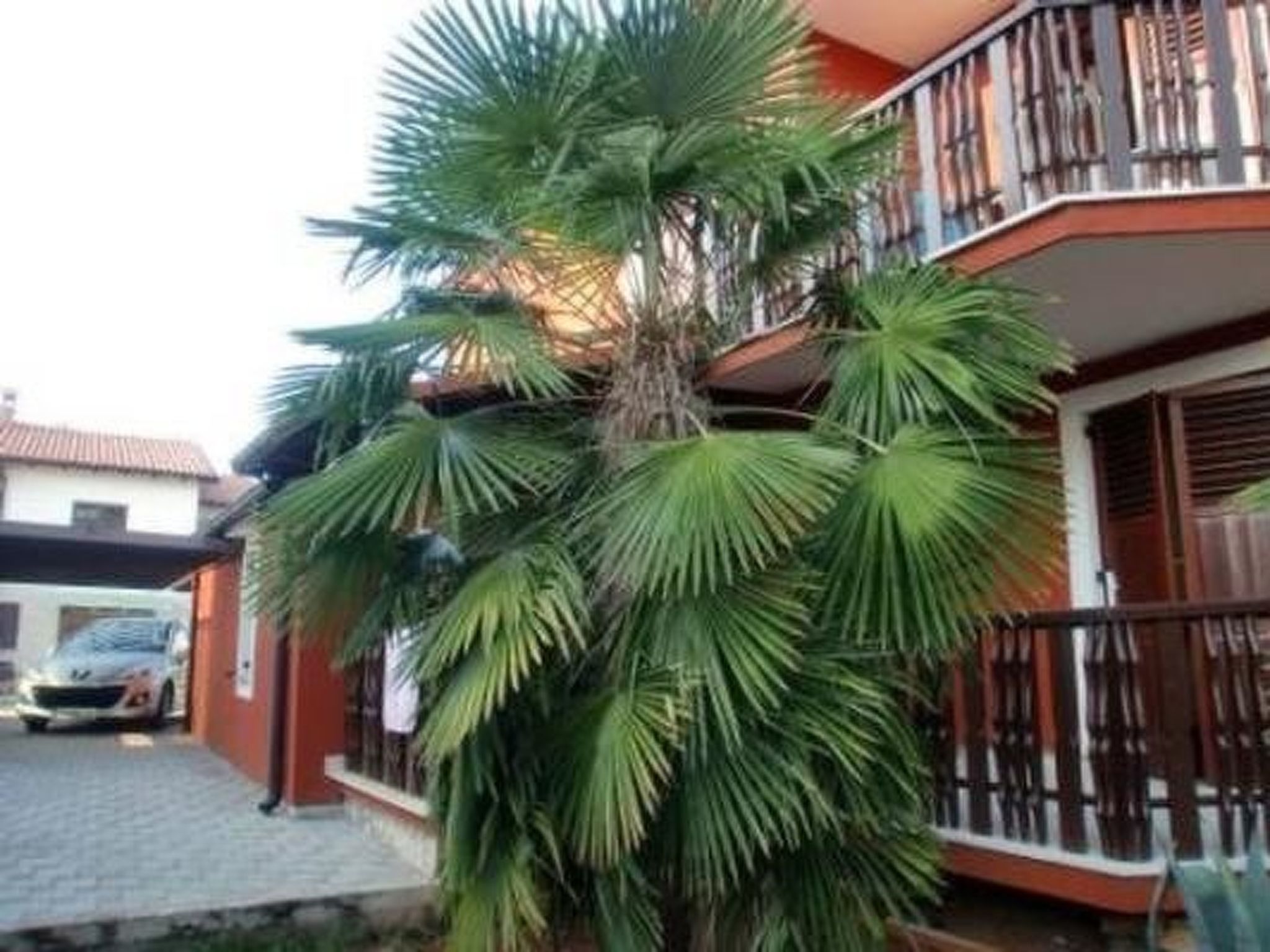 Große Ferienwohnung in Novigrad mit Schönem Garten - Image-tags.info