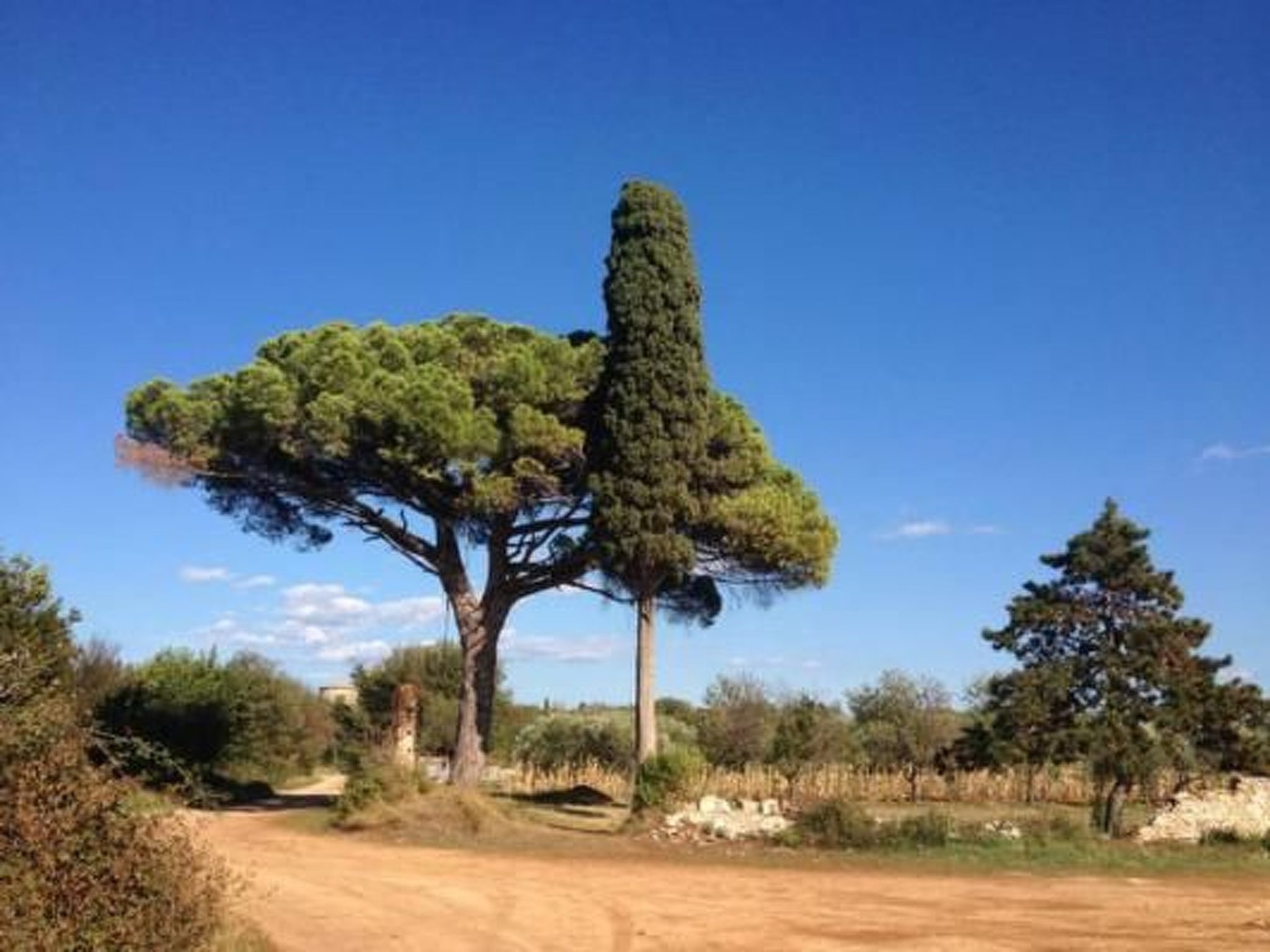 In Karigador mit Terrasse, Whirlpool und Garten-Image-tags.info