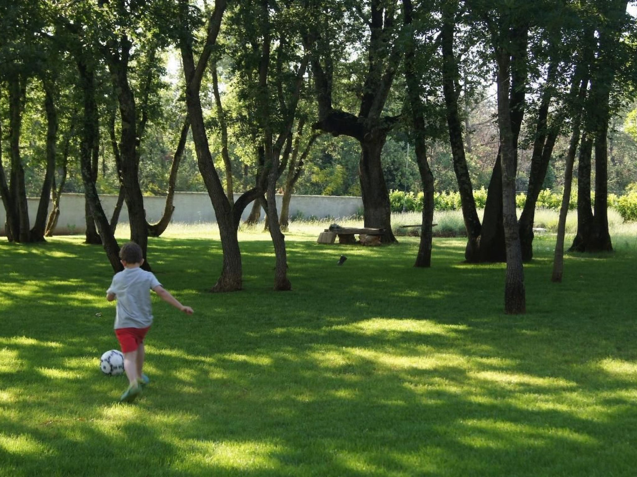 Photo of in Karigador mit Terrasse, Whirlpool und Garten