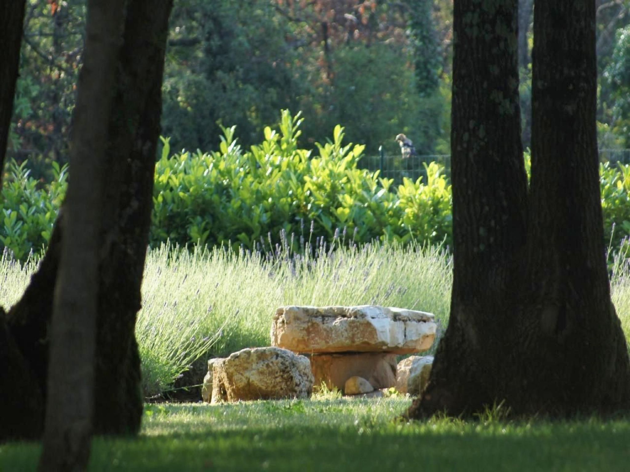 Photo of in Karigador mit Terrasse, Whirlpool und Garten