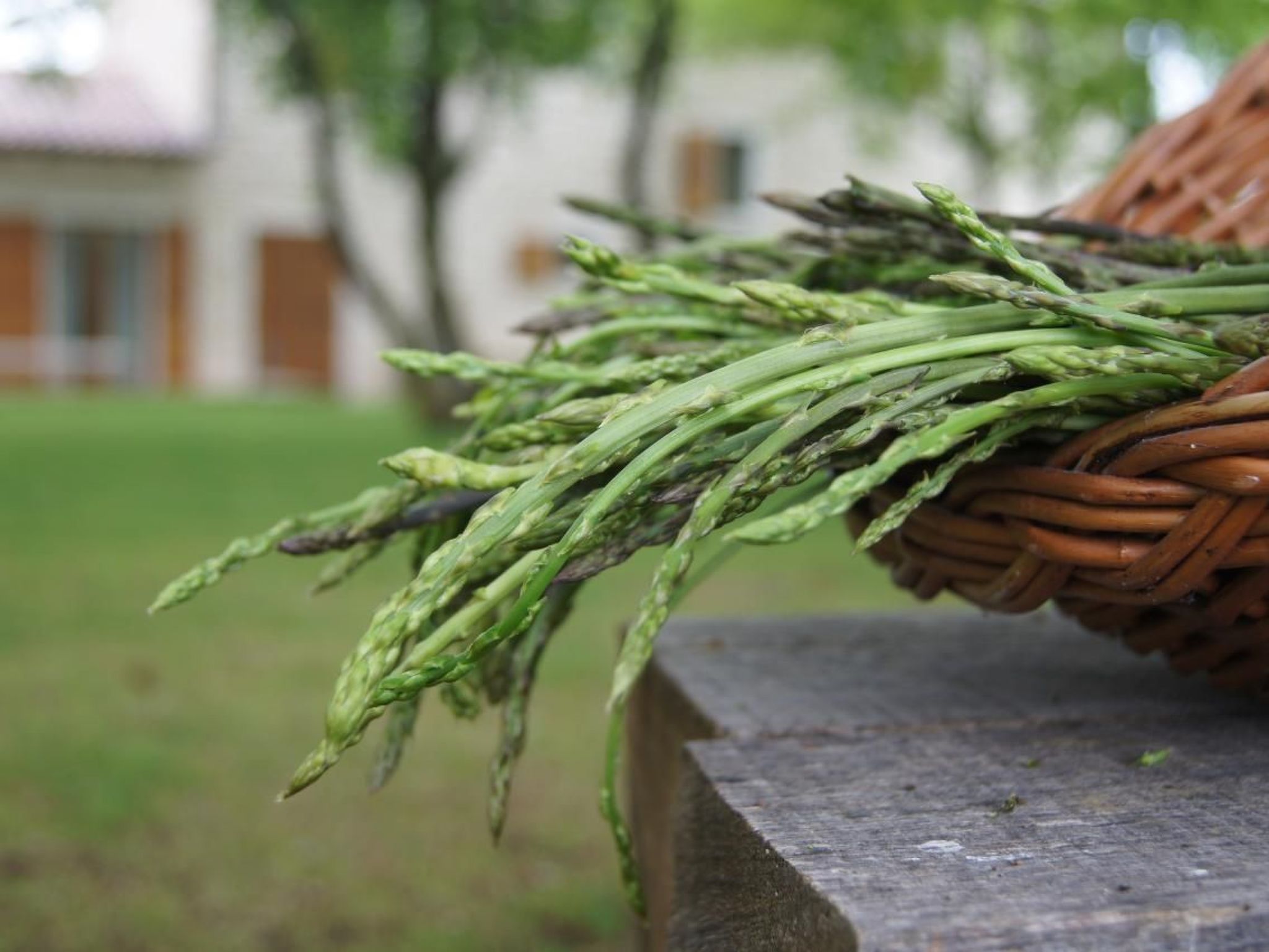 Ferienvilla "Nina" mit Blick auf das Wasser-Image-tags.info