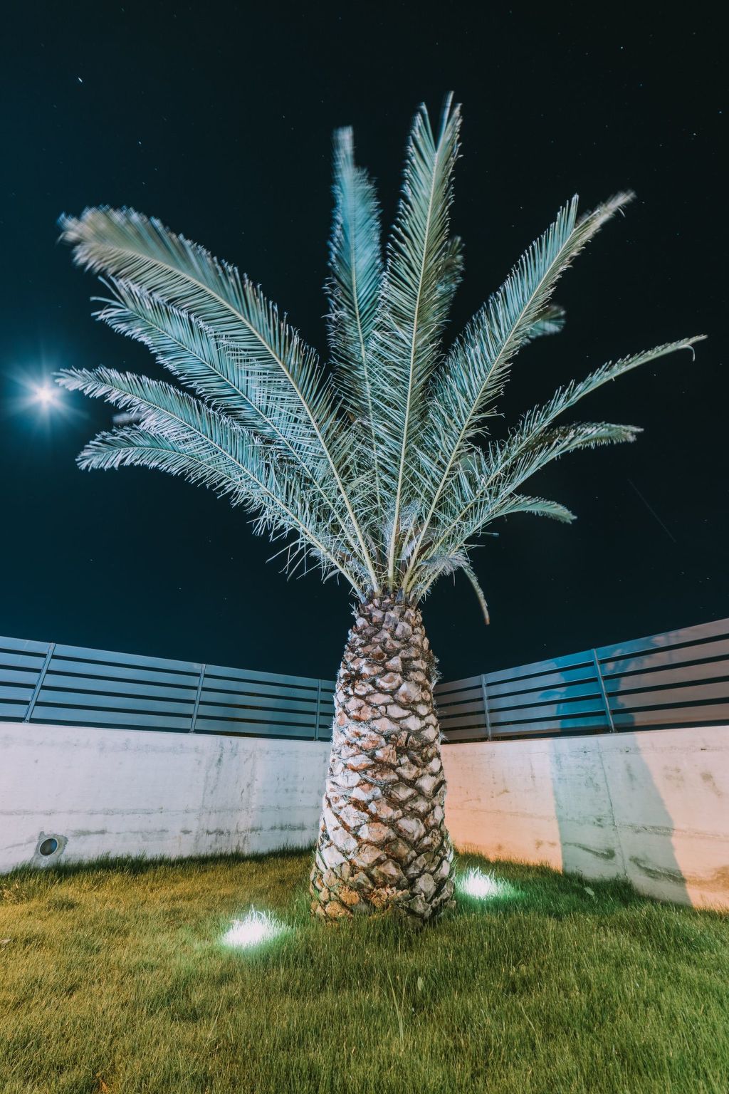 Haus in Novigrad mit privatem Pool-Binnen