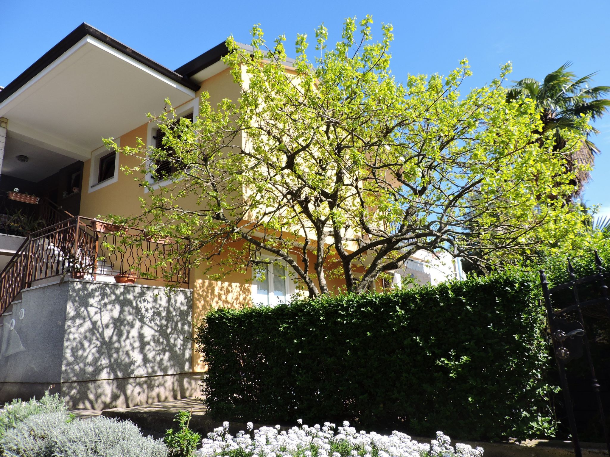 Vakantiehuis met 1 slaapkamer(s) in Novigrad (Istra) (Kroatië) voor 2 personen