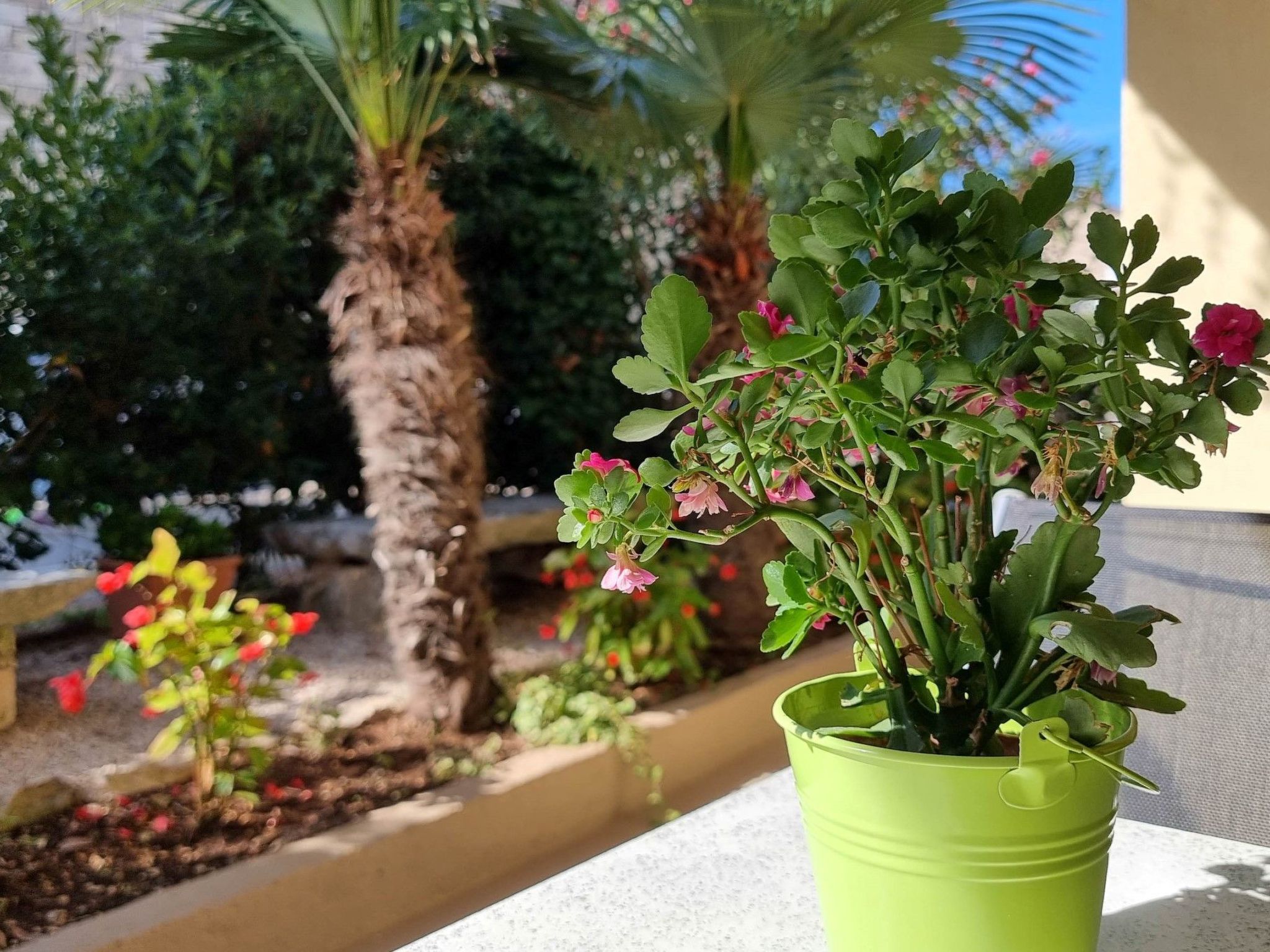 Photo of für 4 Personen ca. 40 m&sup2; in Novigrad, Adriaküste Kroatien (Westküste von I