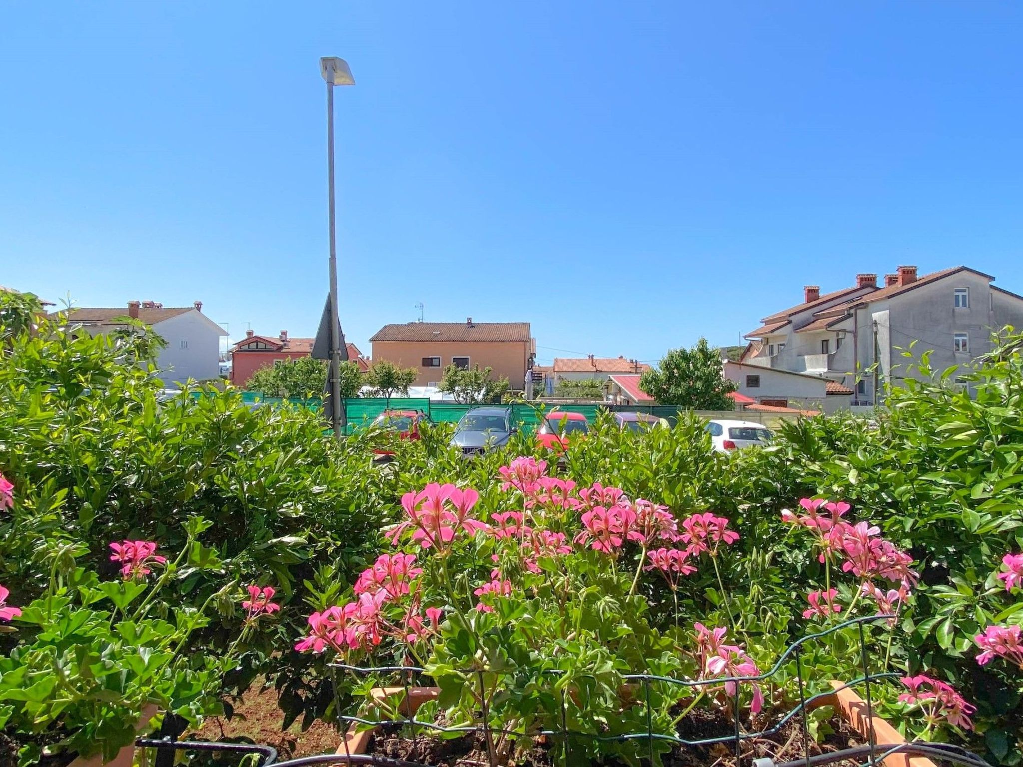 Photo of Vinka in Strandnähe