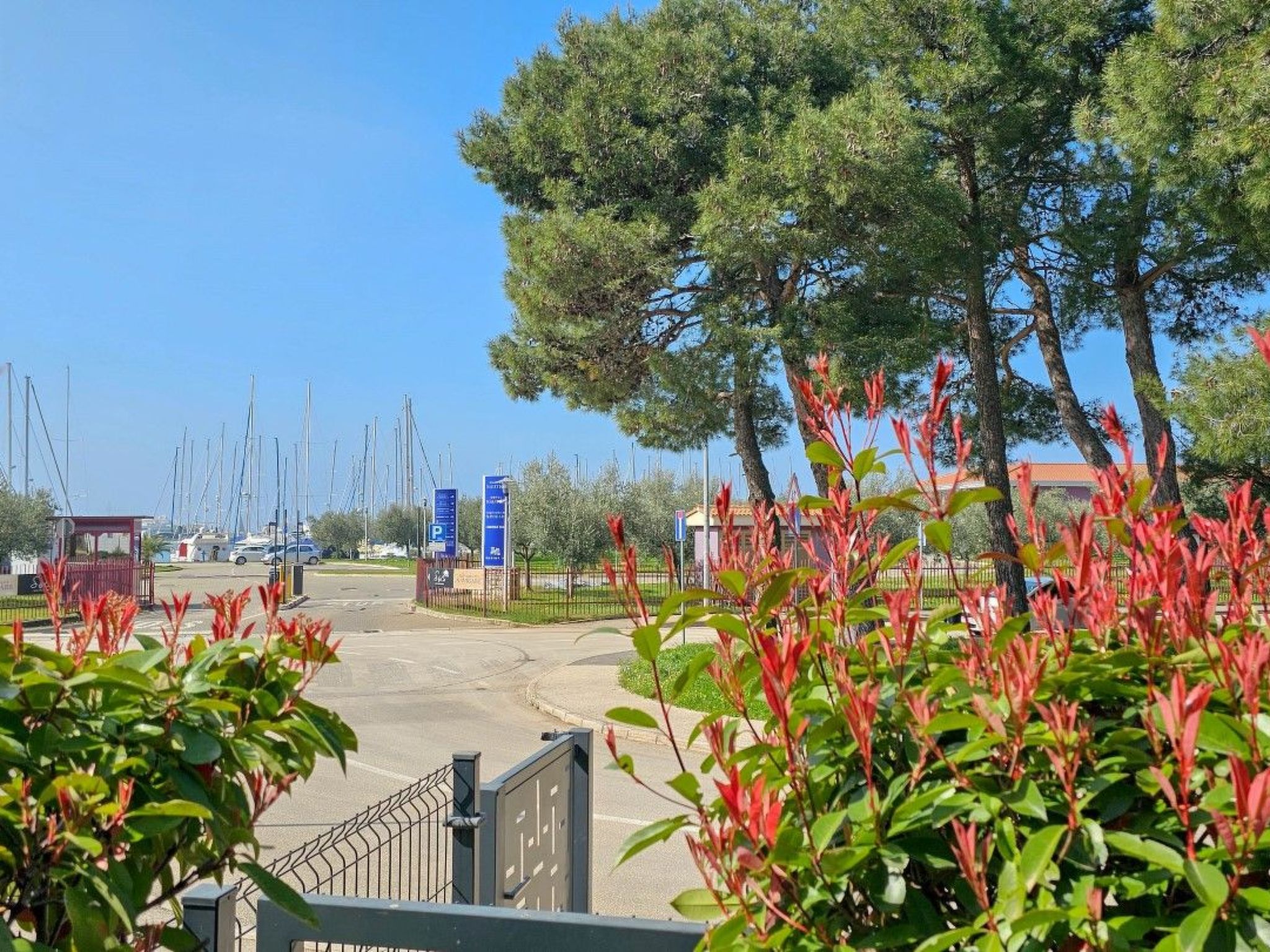 Photo of Apartment mit Terrasse für 3 Personen