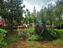 Vrijstaand vakantiehuis Nora met terras nabij zee in Novigrad, Istrië - thumbnail 3