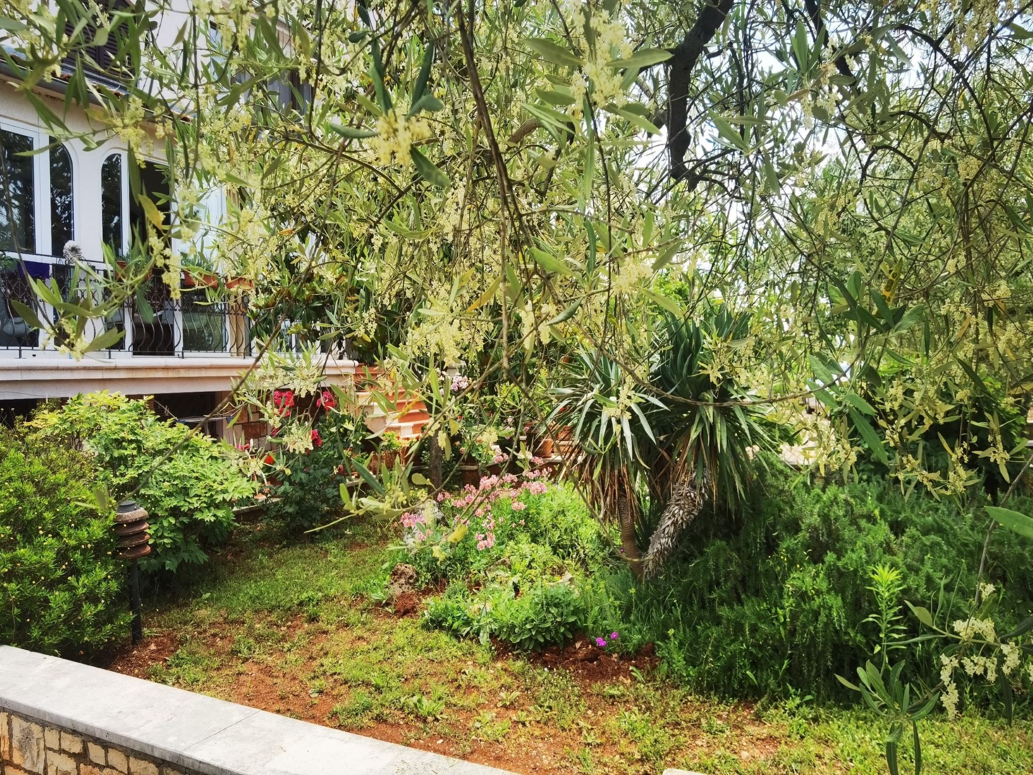 "Nora" mit Terrasse-Image-tags.info