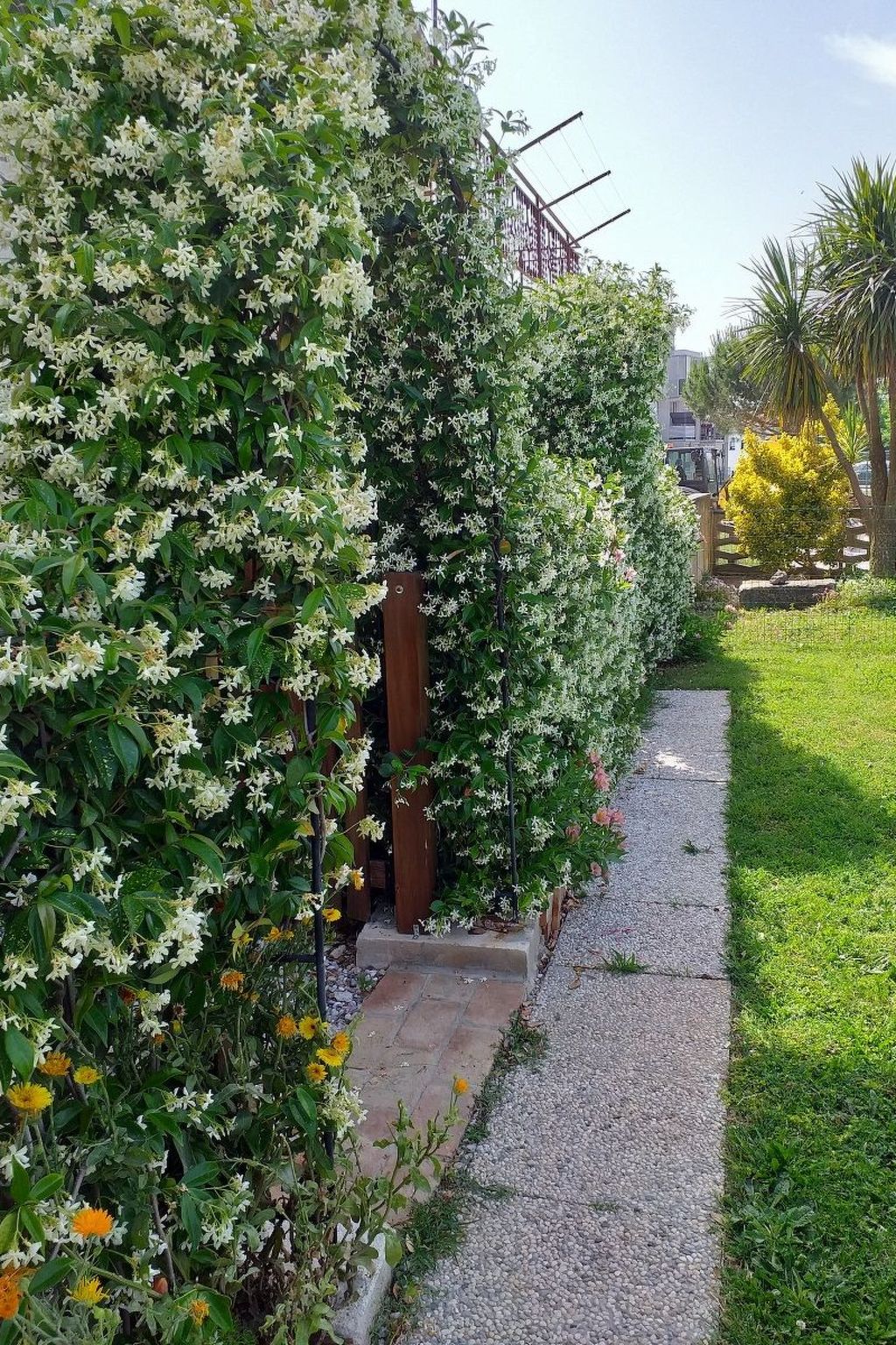 Mit Terrasse-Image-tags.info