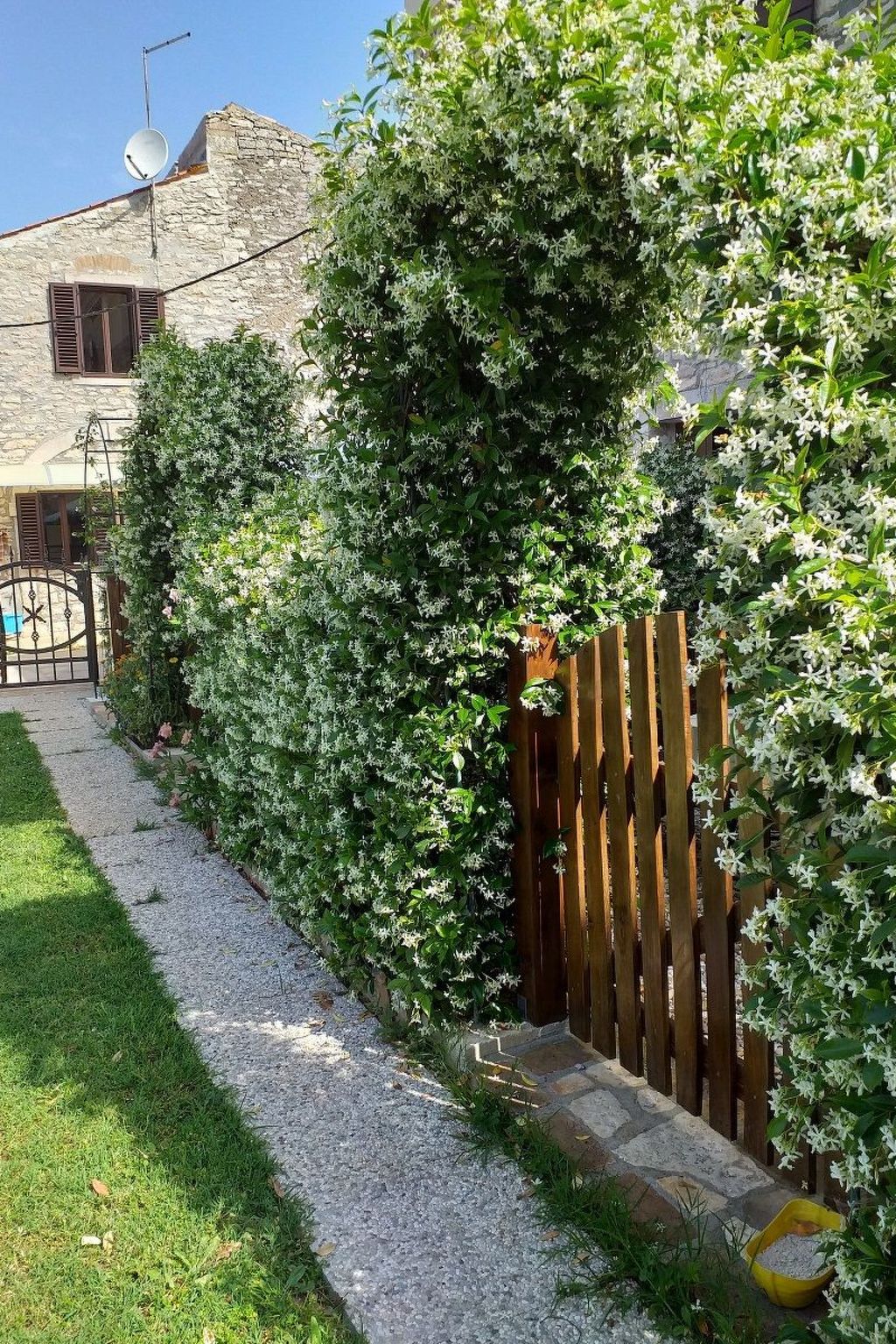 Mit Terrasse-Image-tags.info