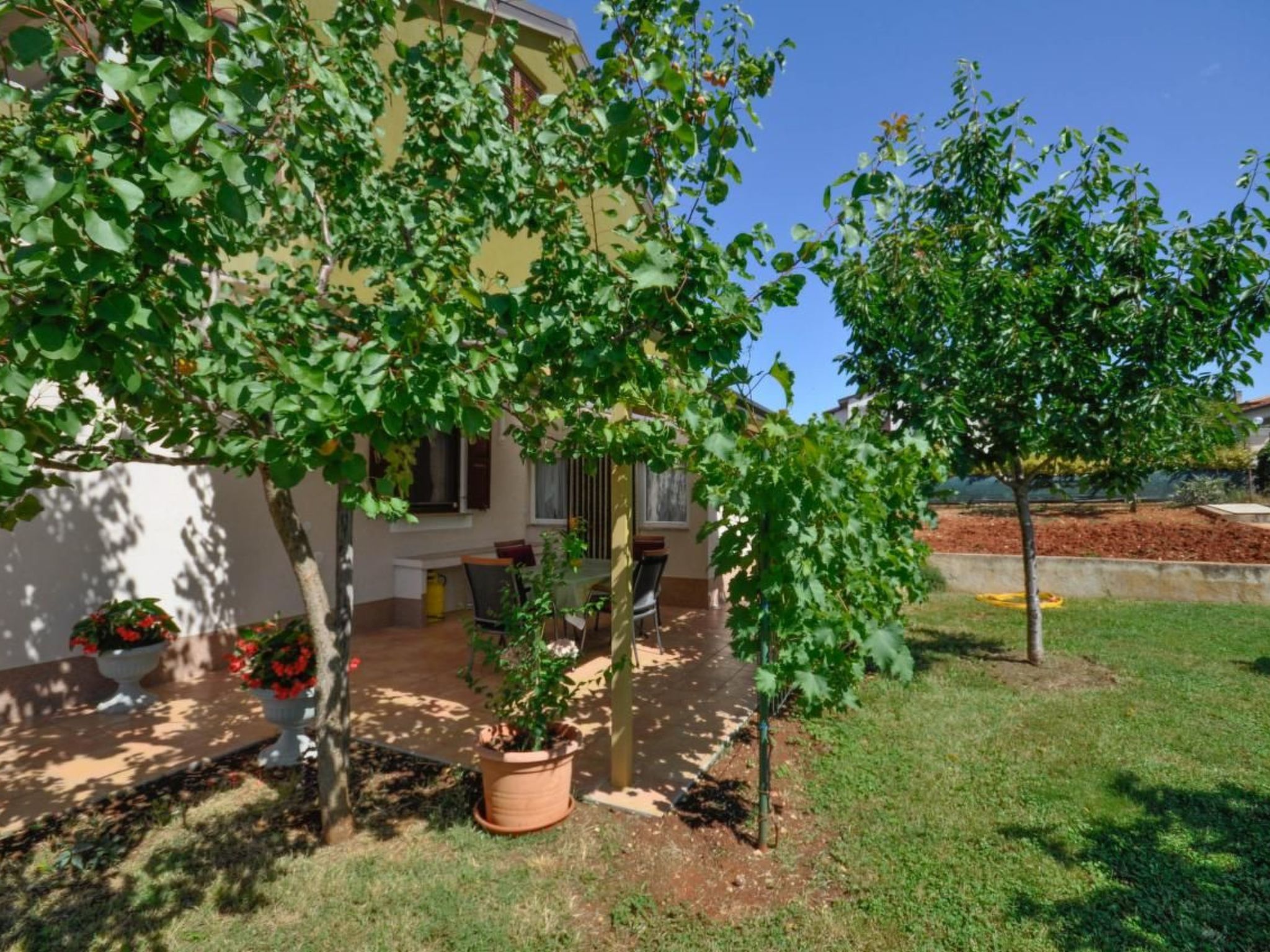 "Nevija"-Image-tags.info