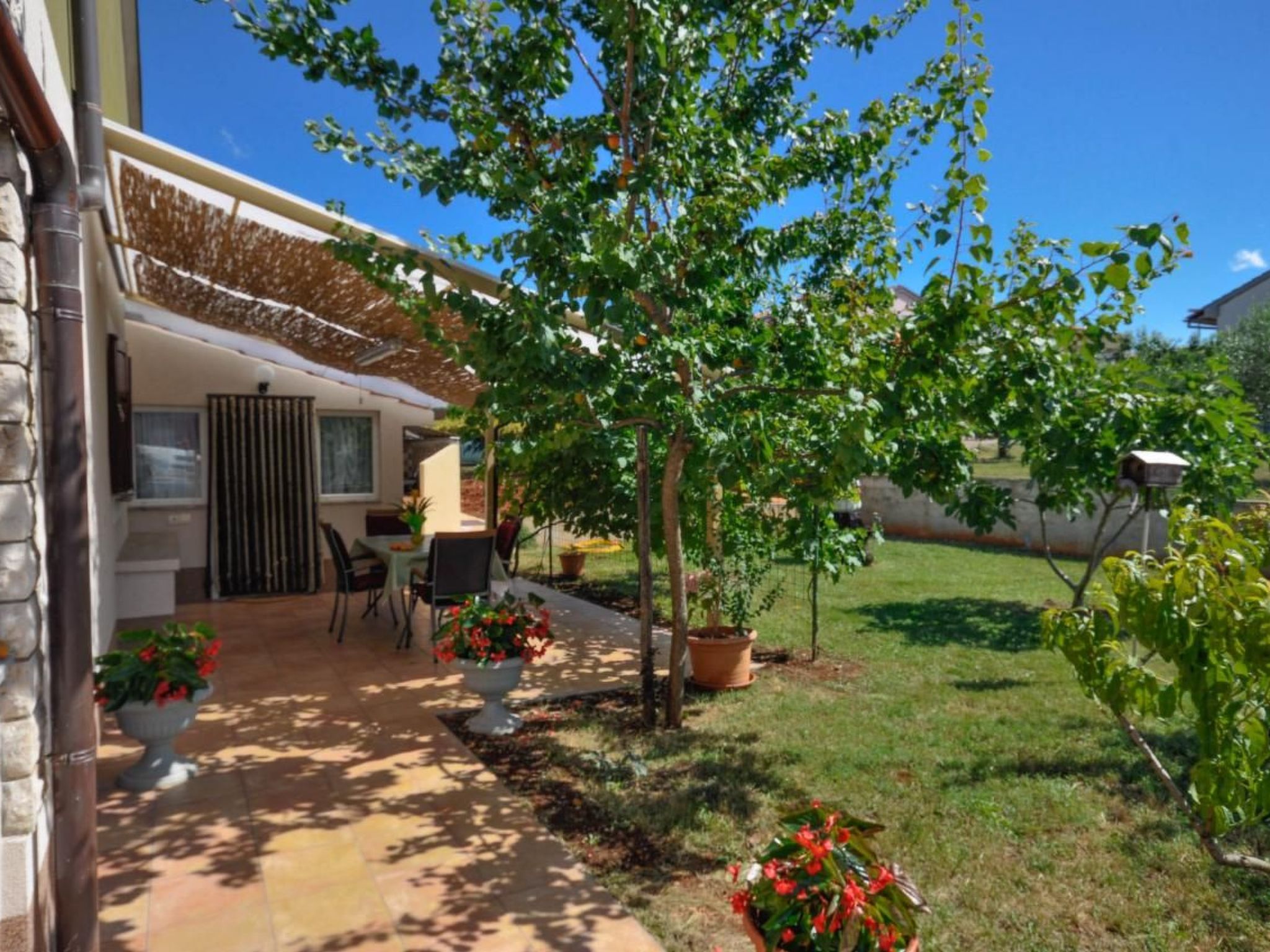 "Nevija"-Image-tags.info