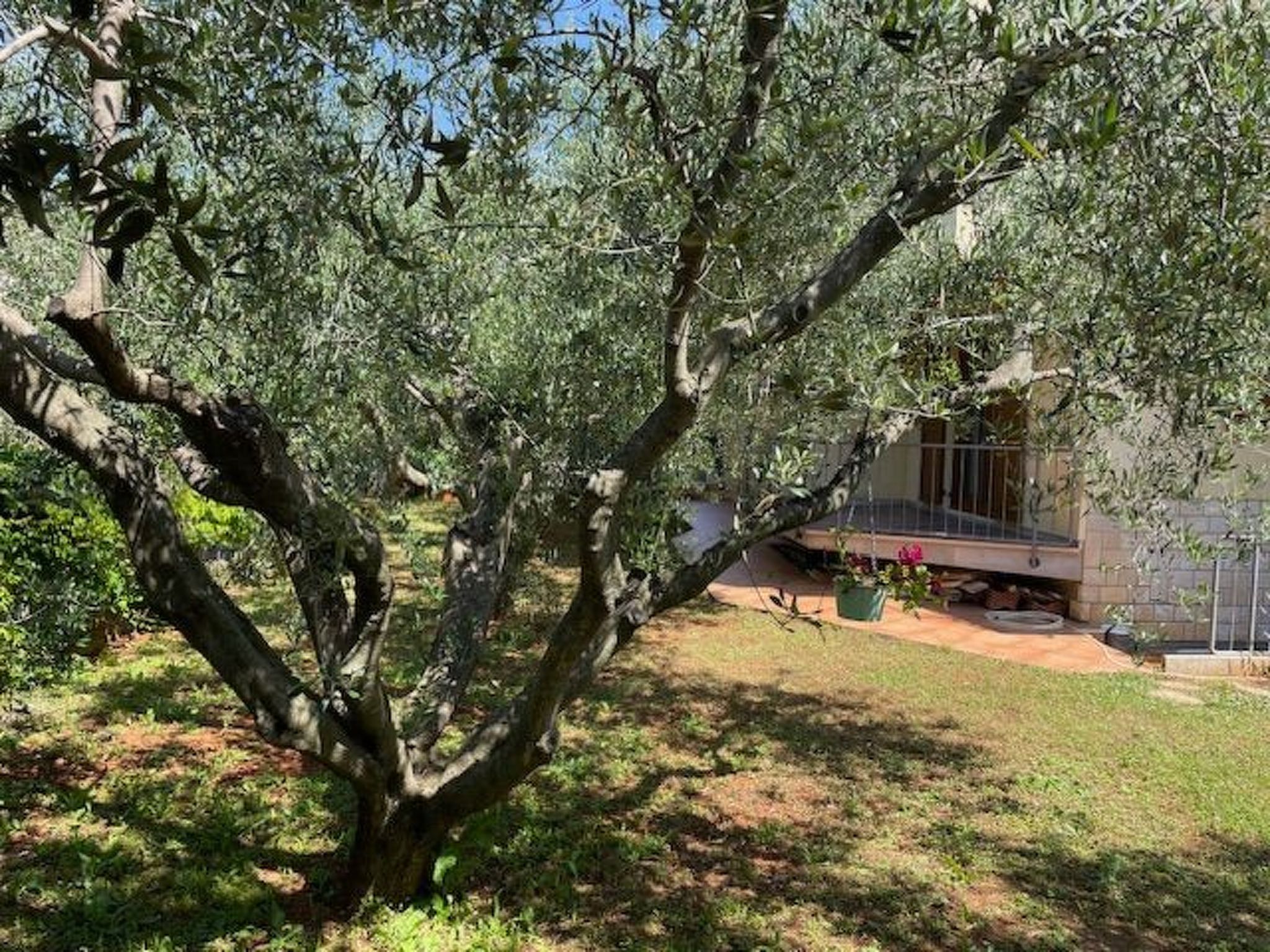 Appartement mit zwei Terrassen mit Meerblick-Binnen