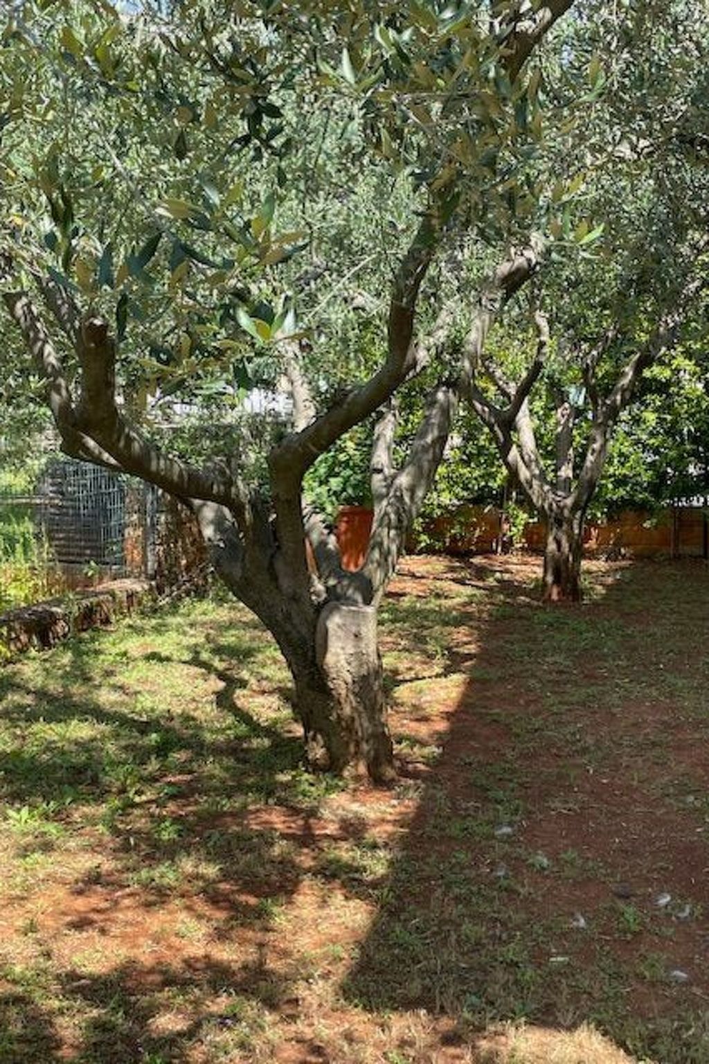 Appartement mit zwei Terrassen mit Meerblick-Binnen