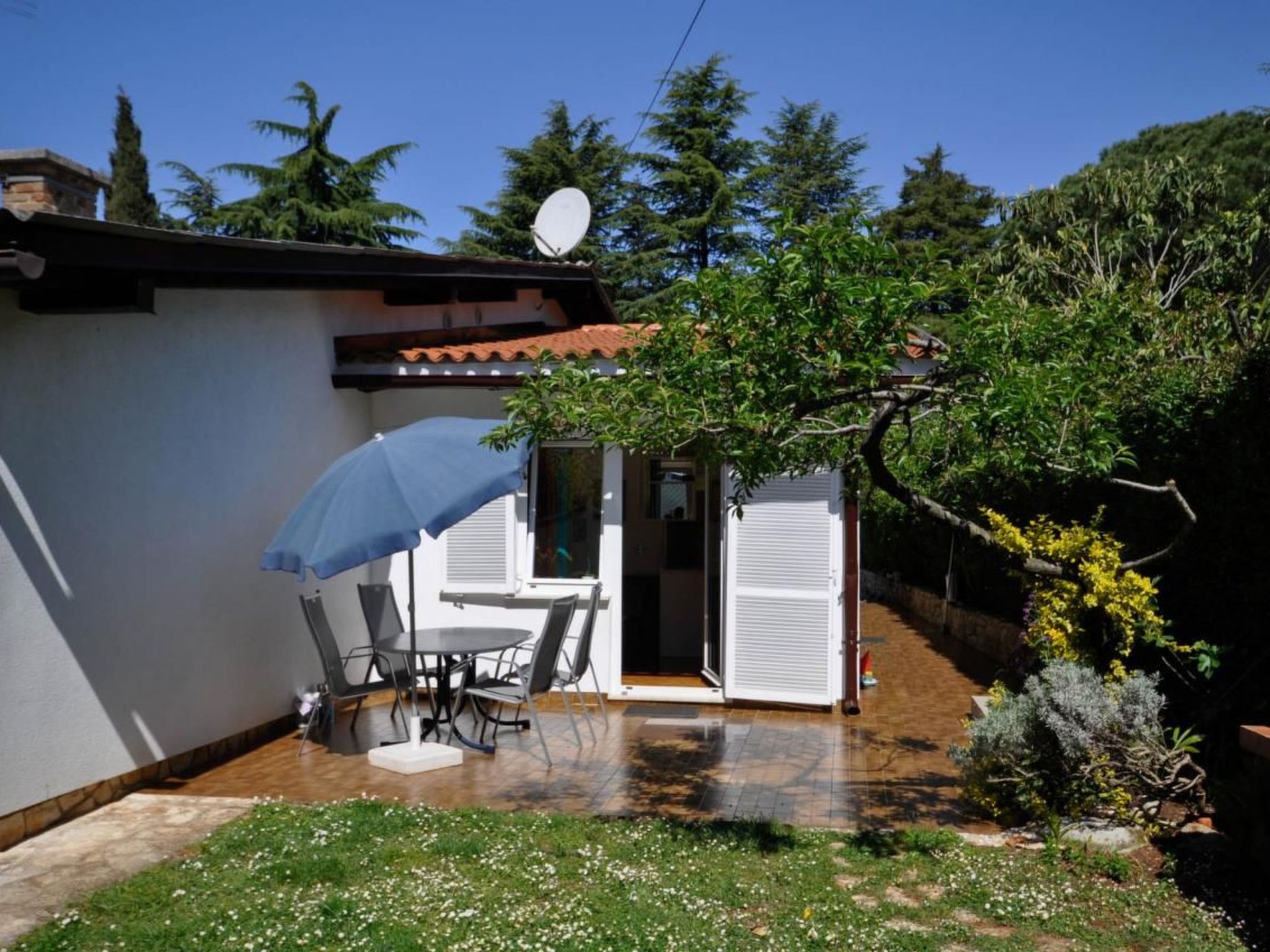 Photo of Wohnung "Palme" direkt am Strand