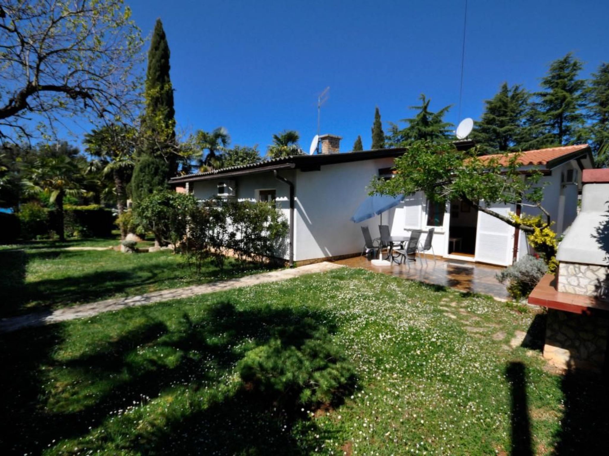 Photo of Wohnung "Palme" direkt am Strand