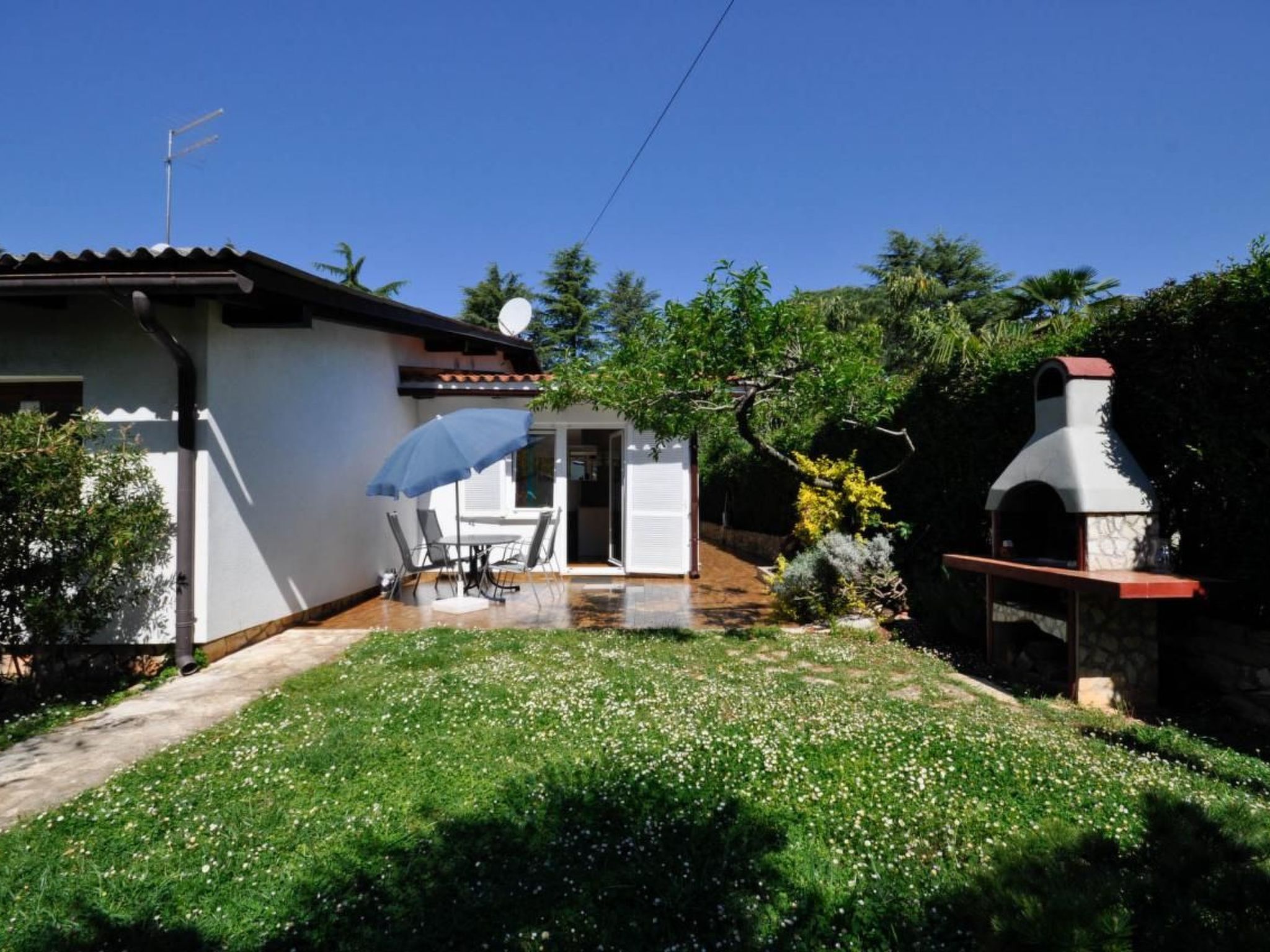 Photo of Wohnung "Palme" direkt am Strand