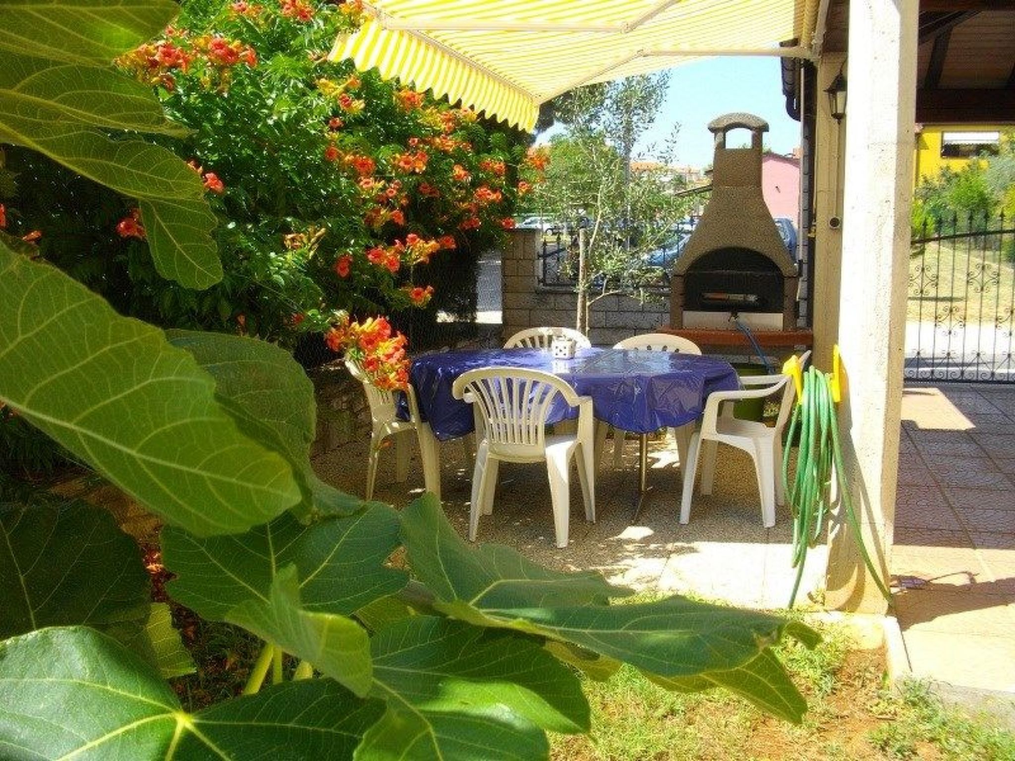 Apartments Grgic-Dedans