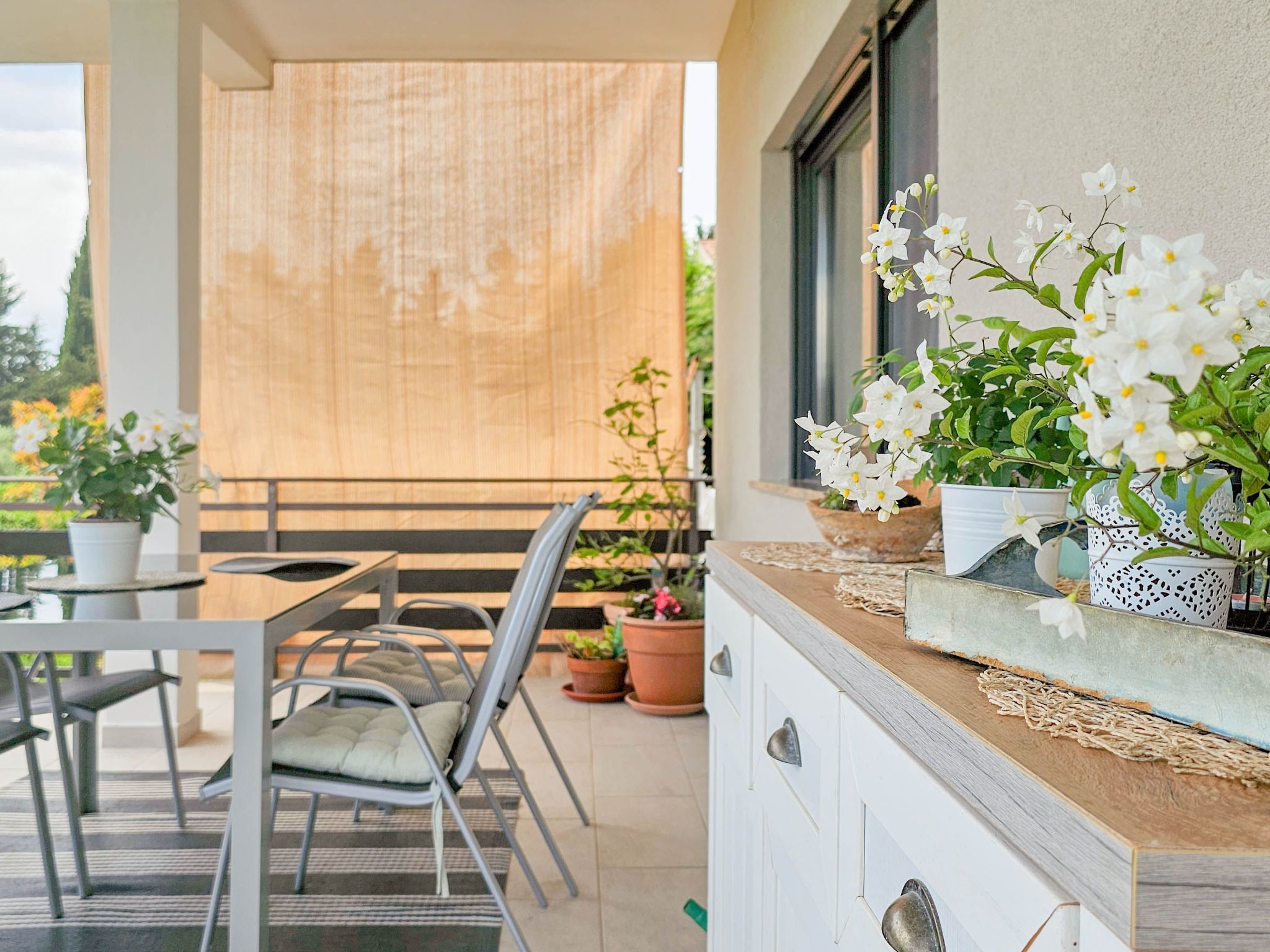 für 4 Personen ca. 40 m&sup2; in Novigrad, Adriaküste Kroatien (Westküste von I Apartment in Novigrad