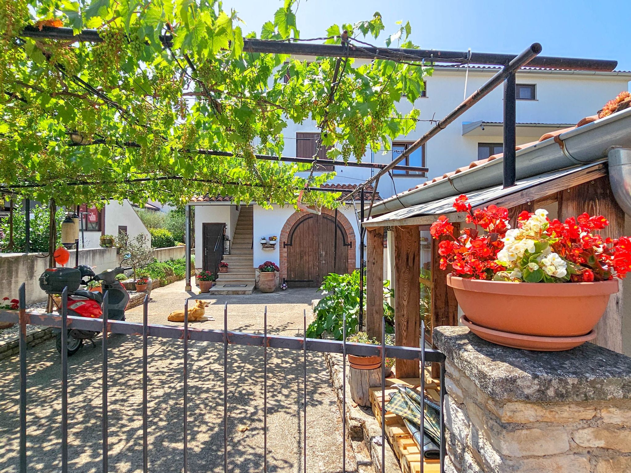 Photo of "Lara A4" mit Balkon