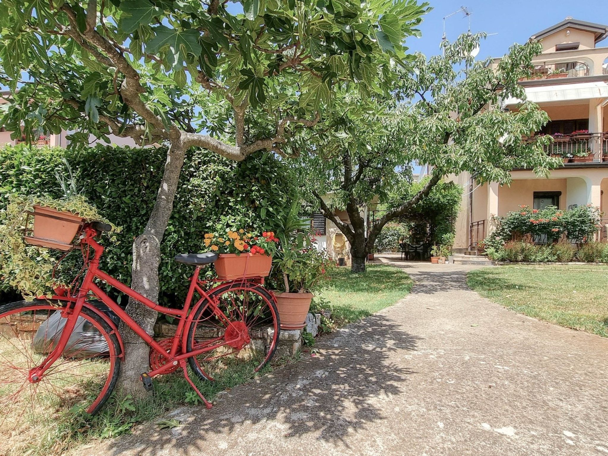 Photo of "Nina" mit Blick auf das Wasser