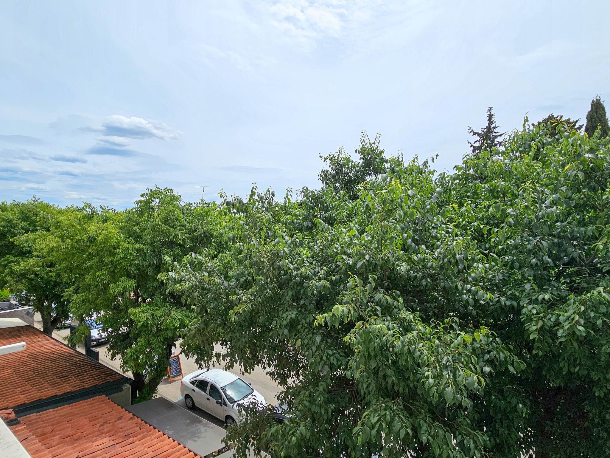 Photo of "Olga" mit Balkon