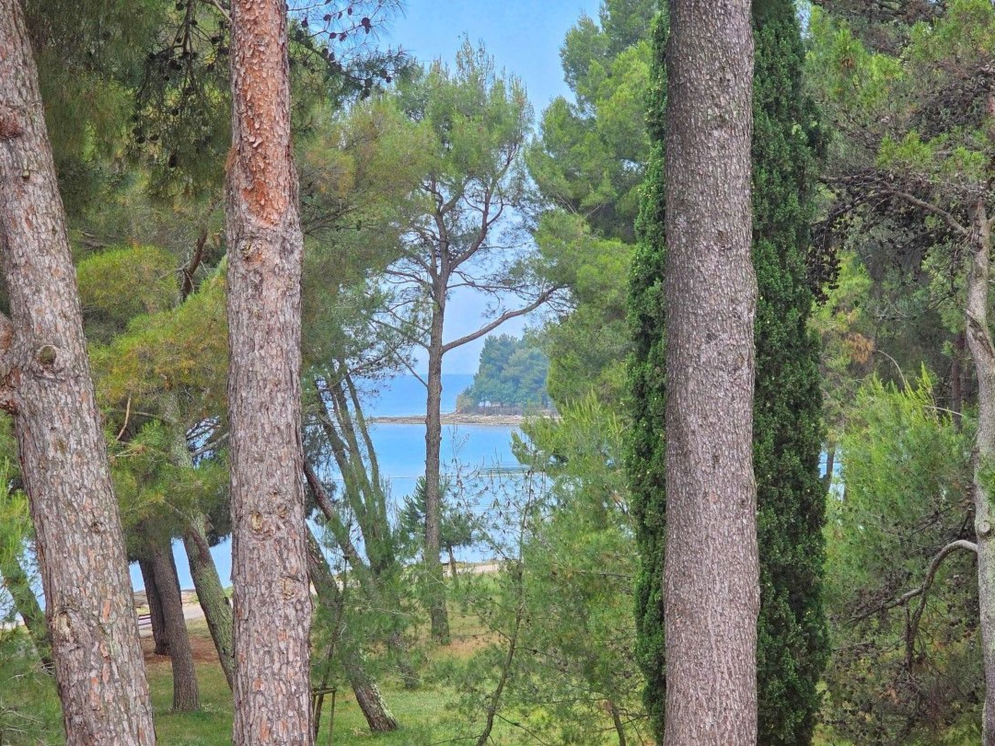 Photo of Wohnung "Senka" direkt am Strand