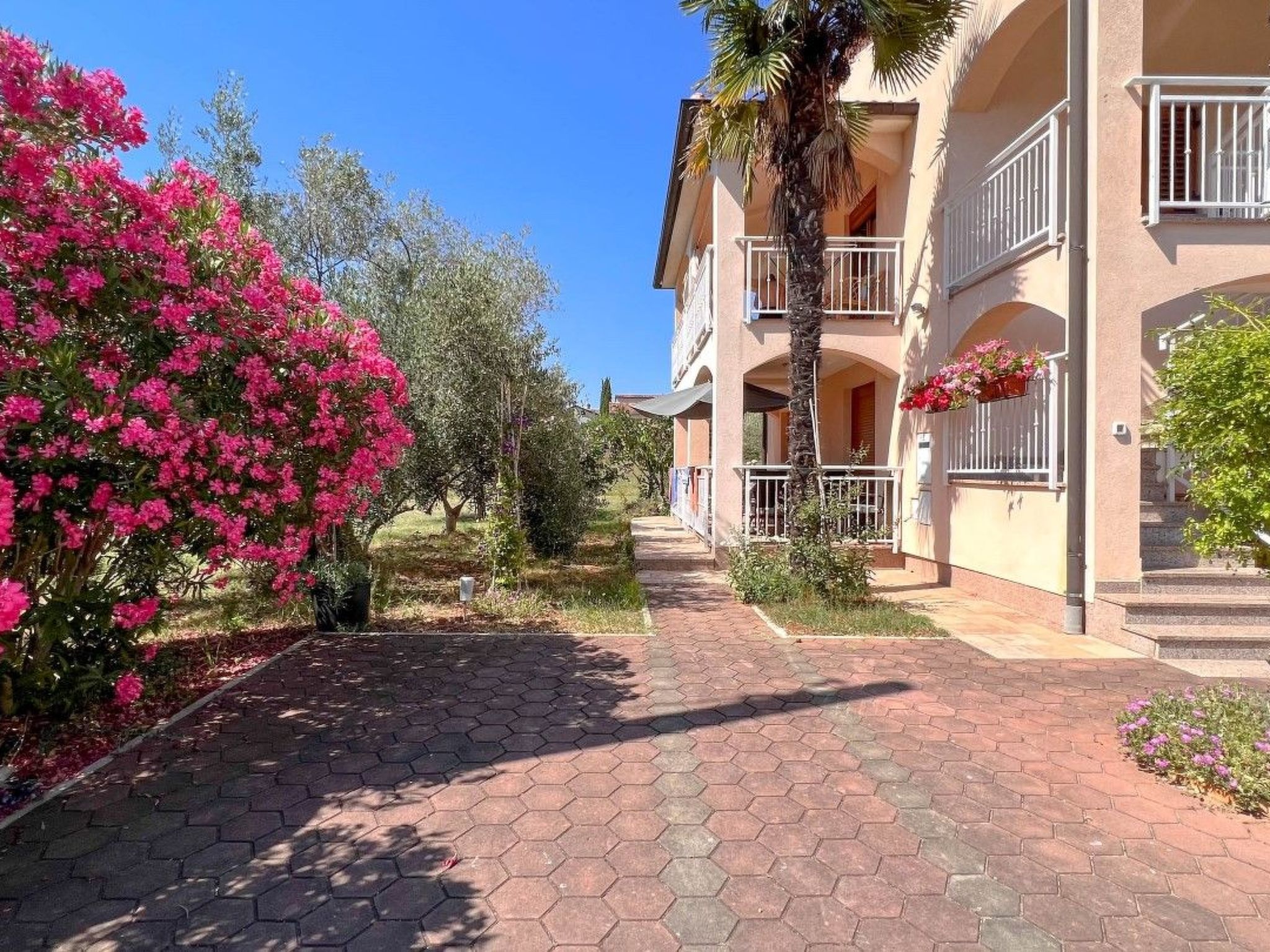 "Viola" mit Balkon Apartment in Novigrad