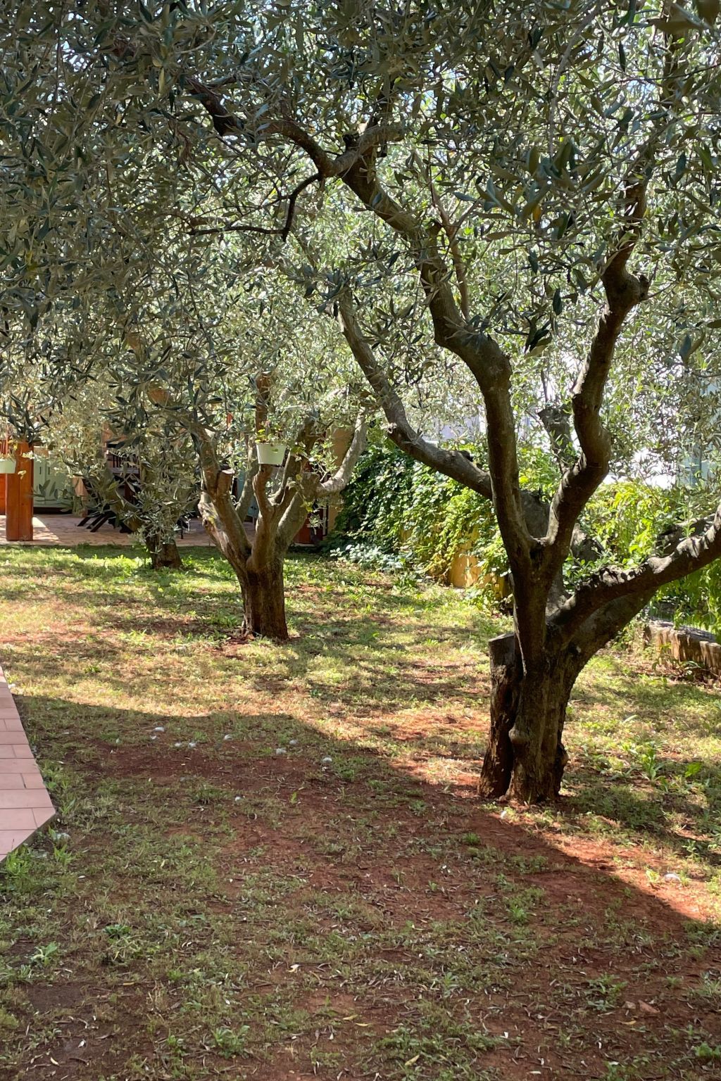 Komplette Villa mit zwei Appartements-Drinnen