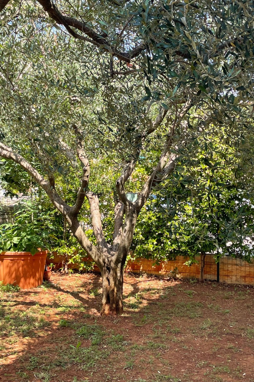 Komplette Villa mit zwei Appartements-Drinnen