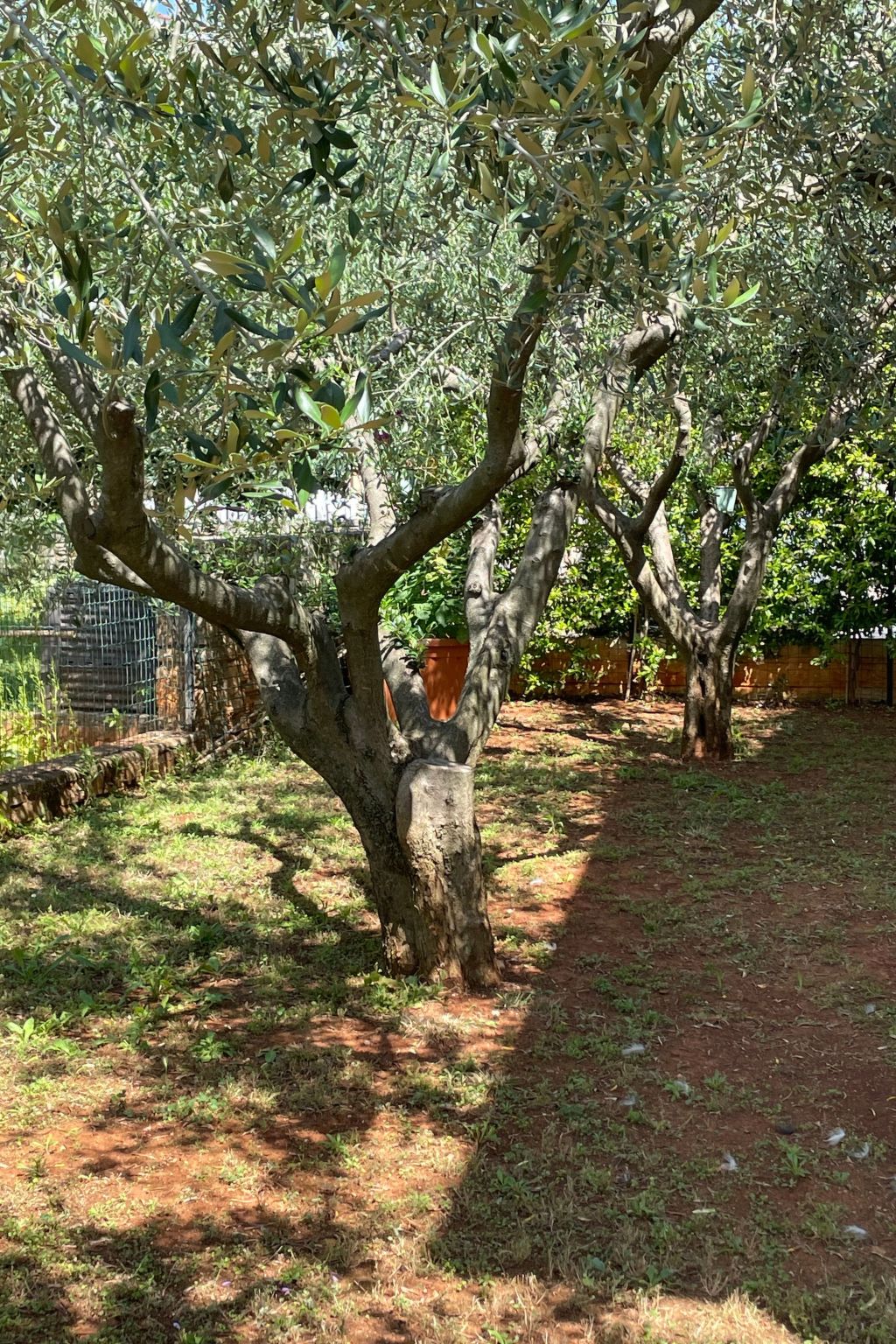 Komplette Villa mit zwei Appartements-Drinnen