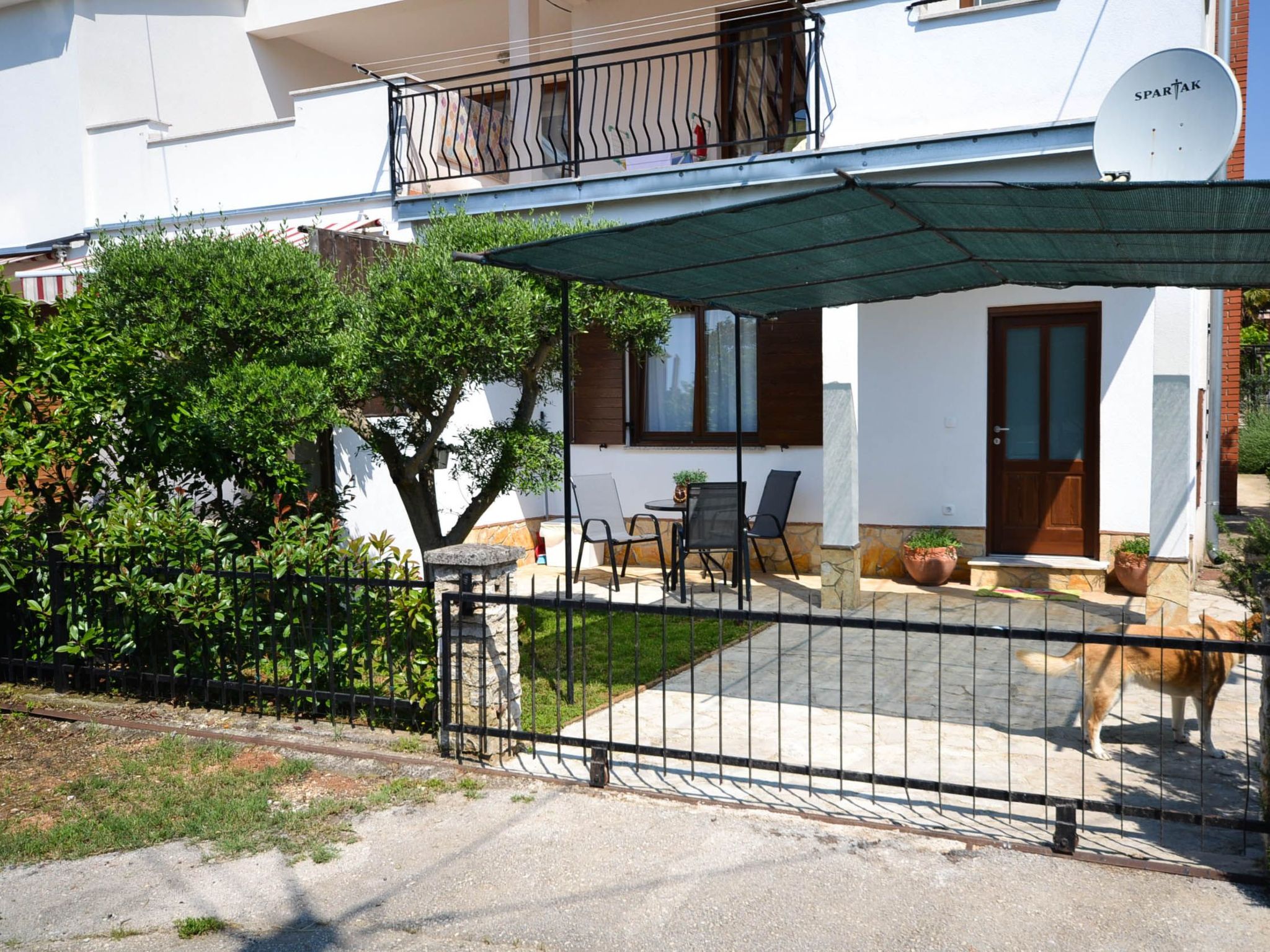 "Rozana"-Image-tags.info