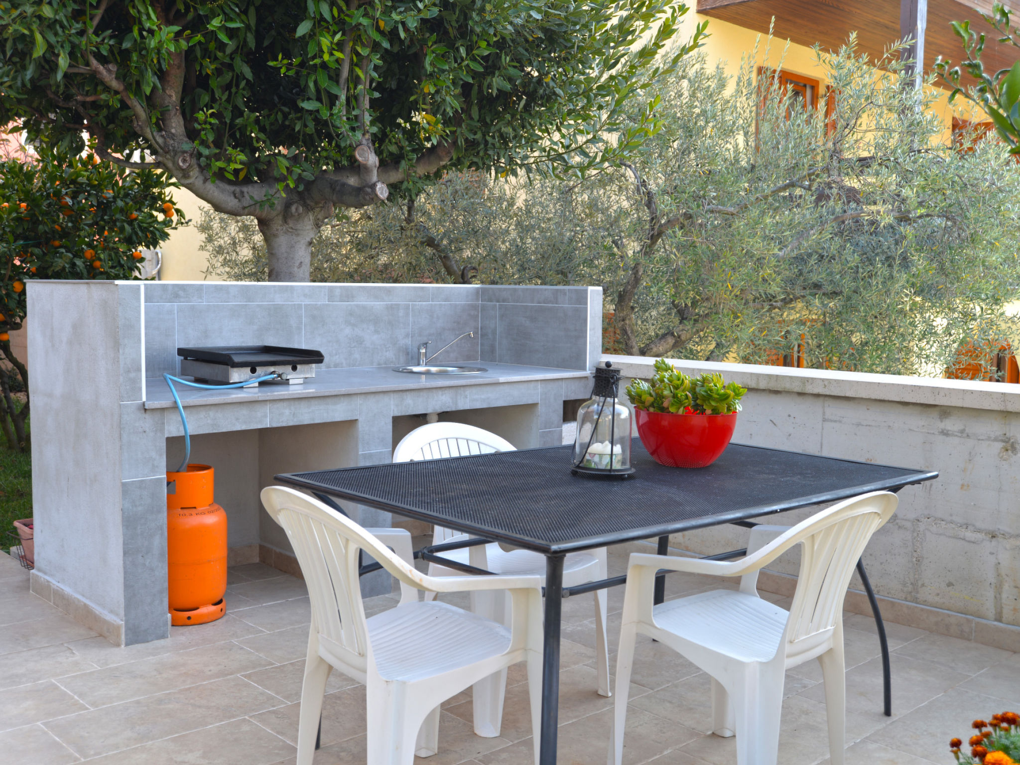 Photo of Apartment 167